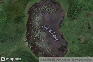 Dokis Lake
