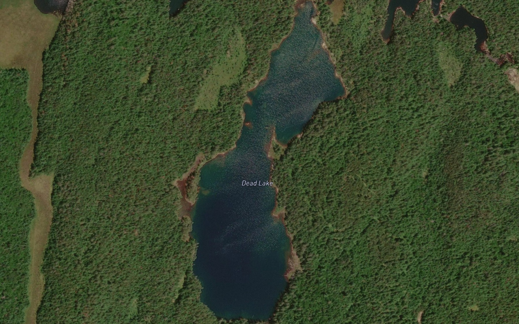 Satellite map of the Dead Lake