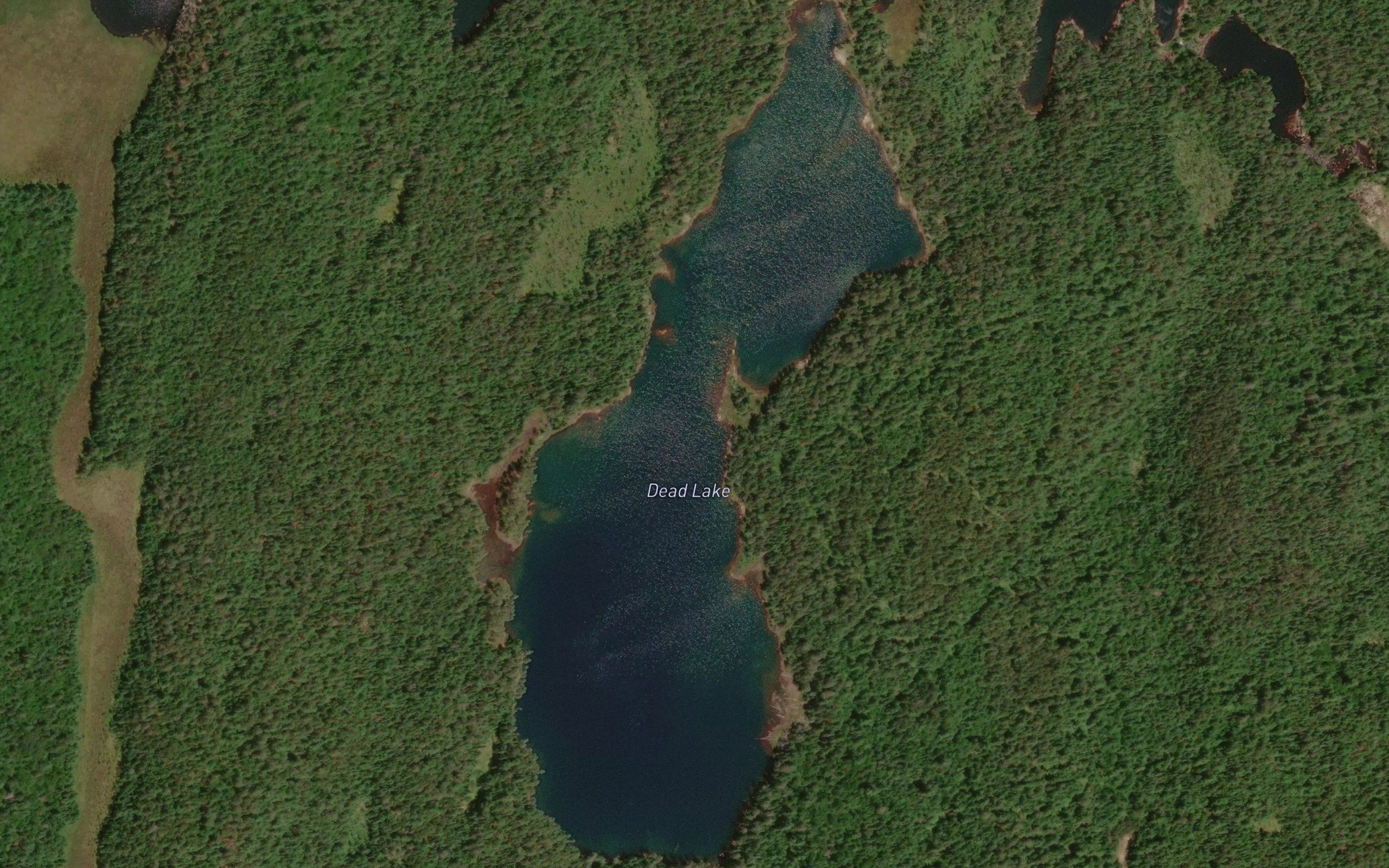Dead Lake