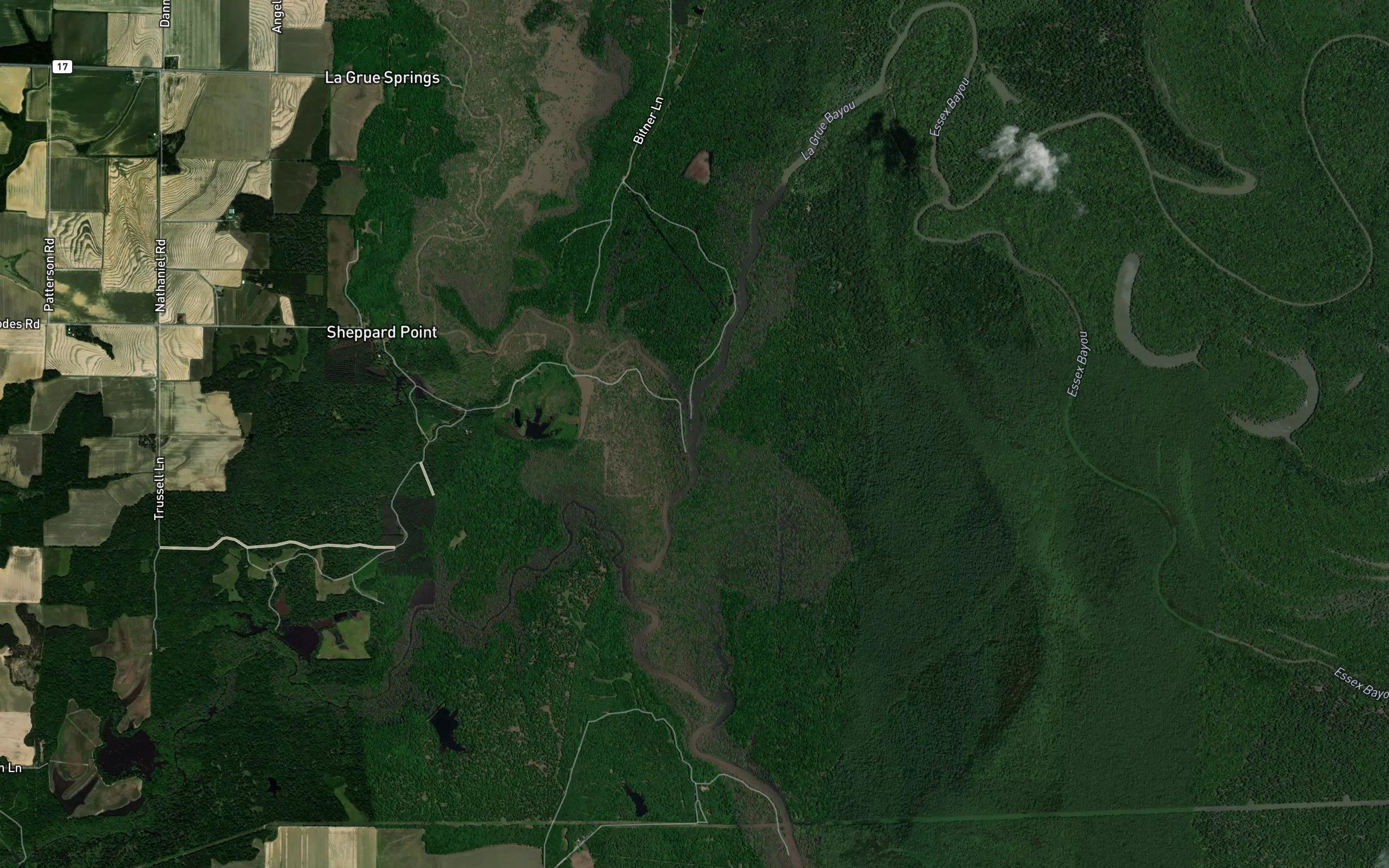 Essex Bayou