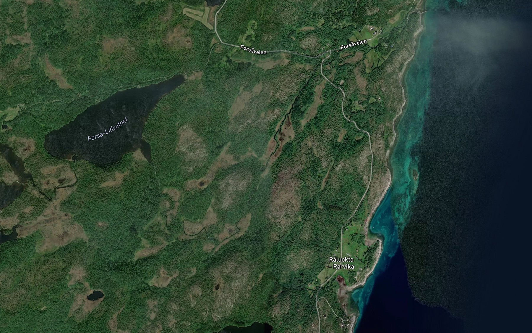 Satellite map of the Forsaelva