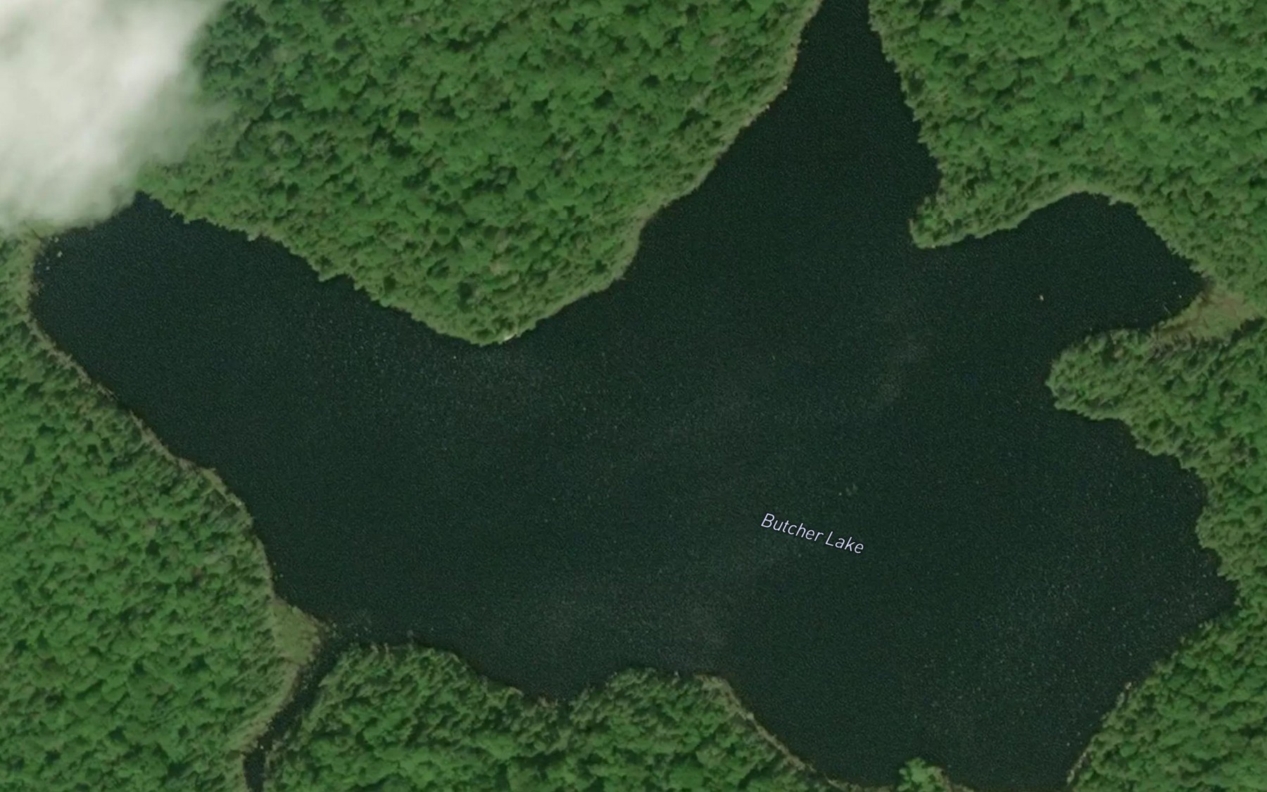 Satellite map of the Butcher Lake