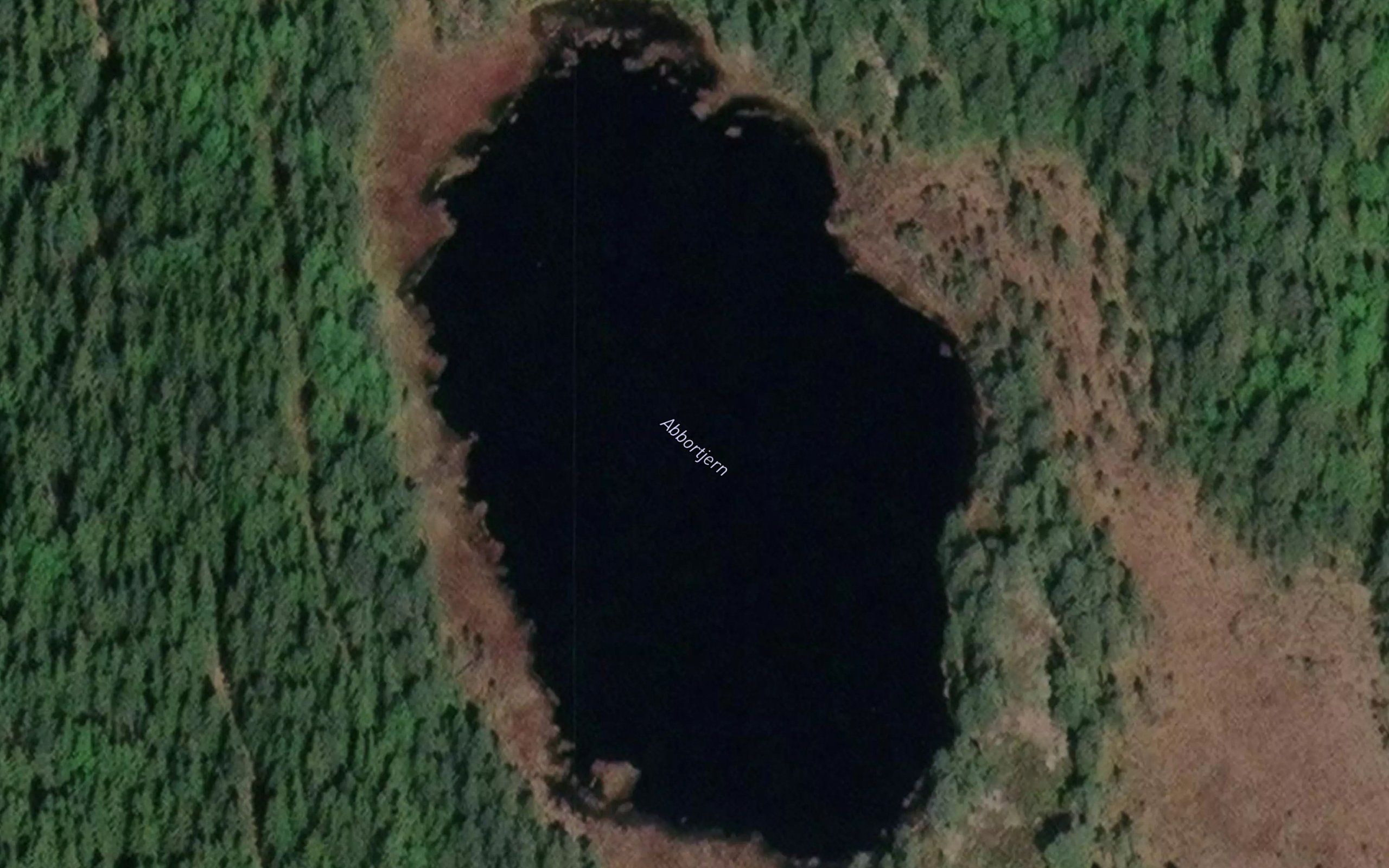 Abbortjern