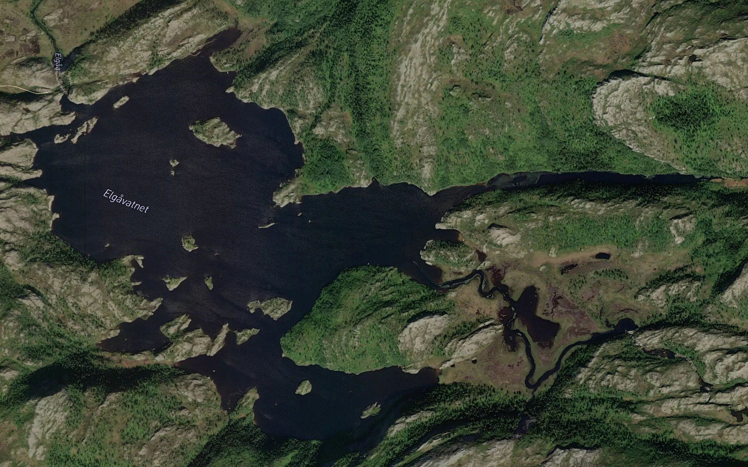 Elgavatnet