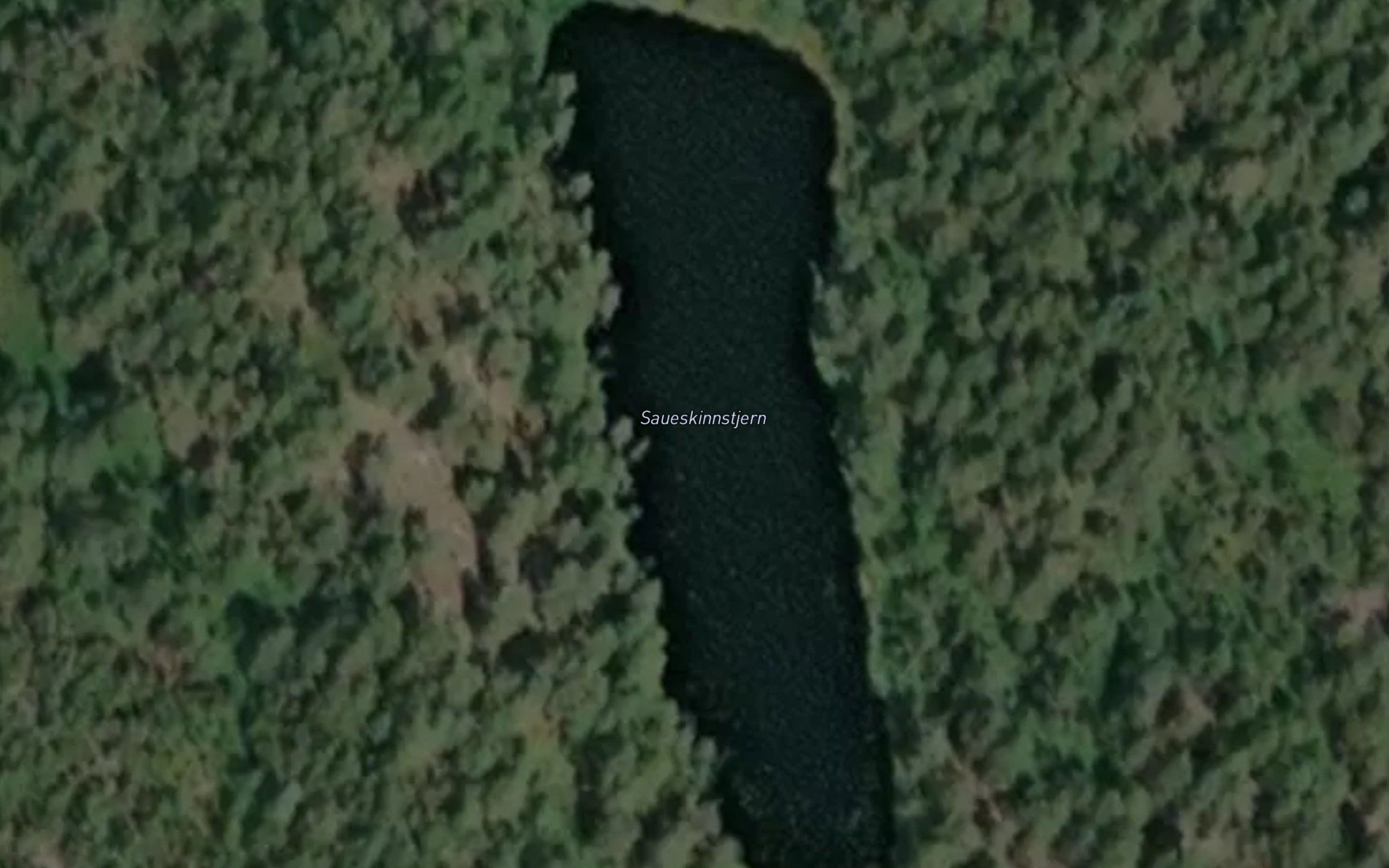Saueskinnstjern