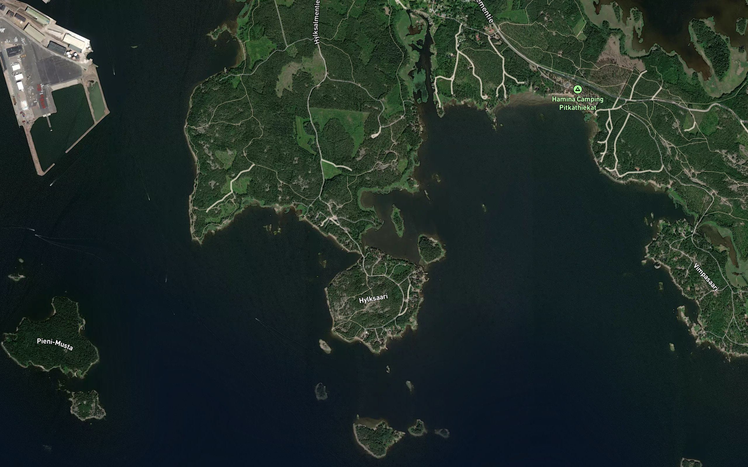 Kutviikki