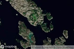 Maurlaukevika