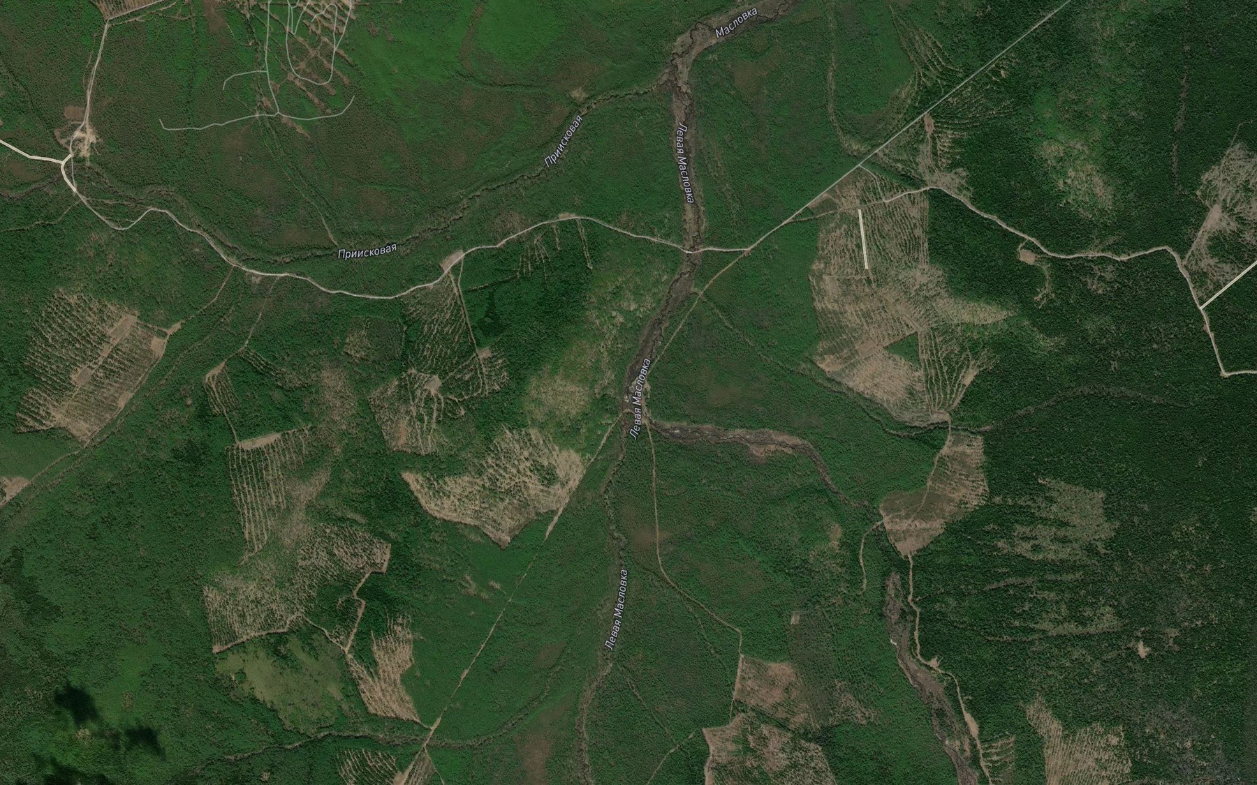 Satellite map of the Malaya Maslovka