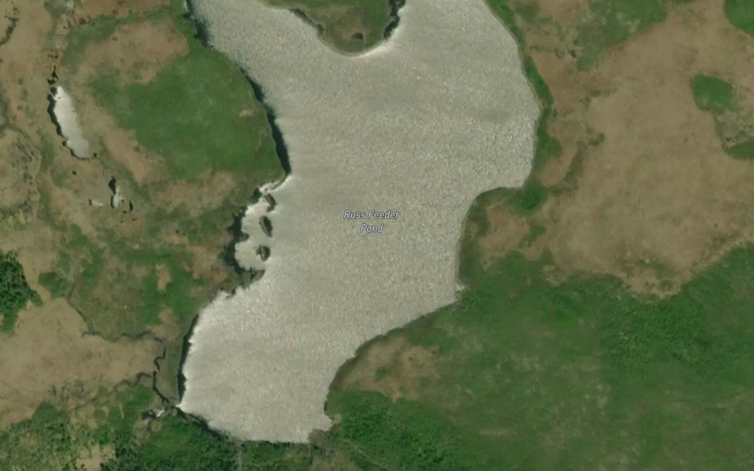 Russ Feeder Pond