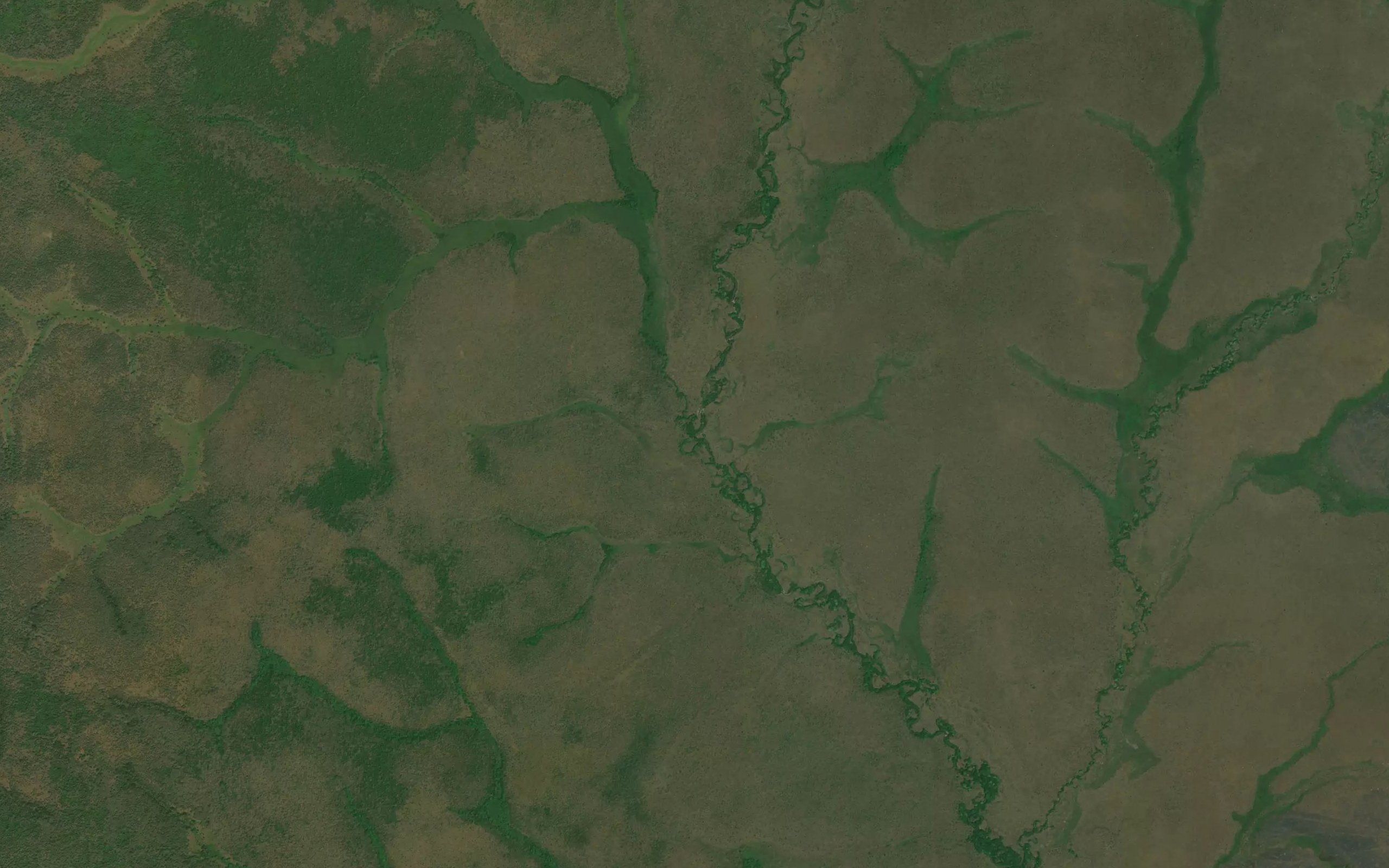 Nakale