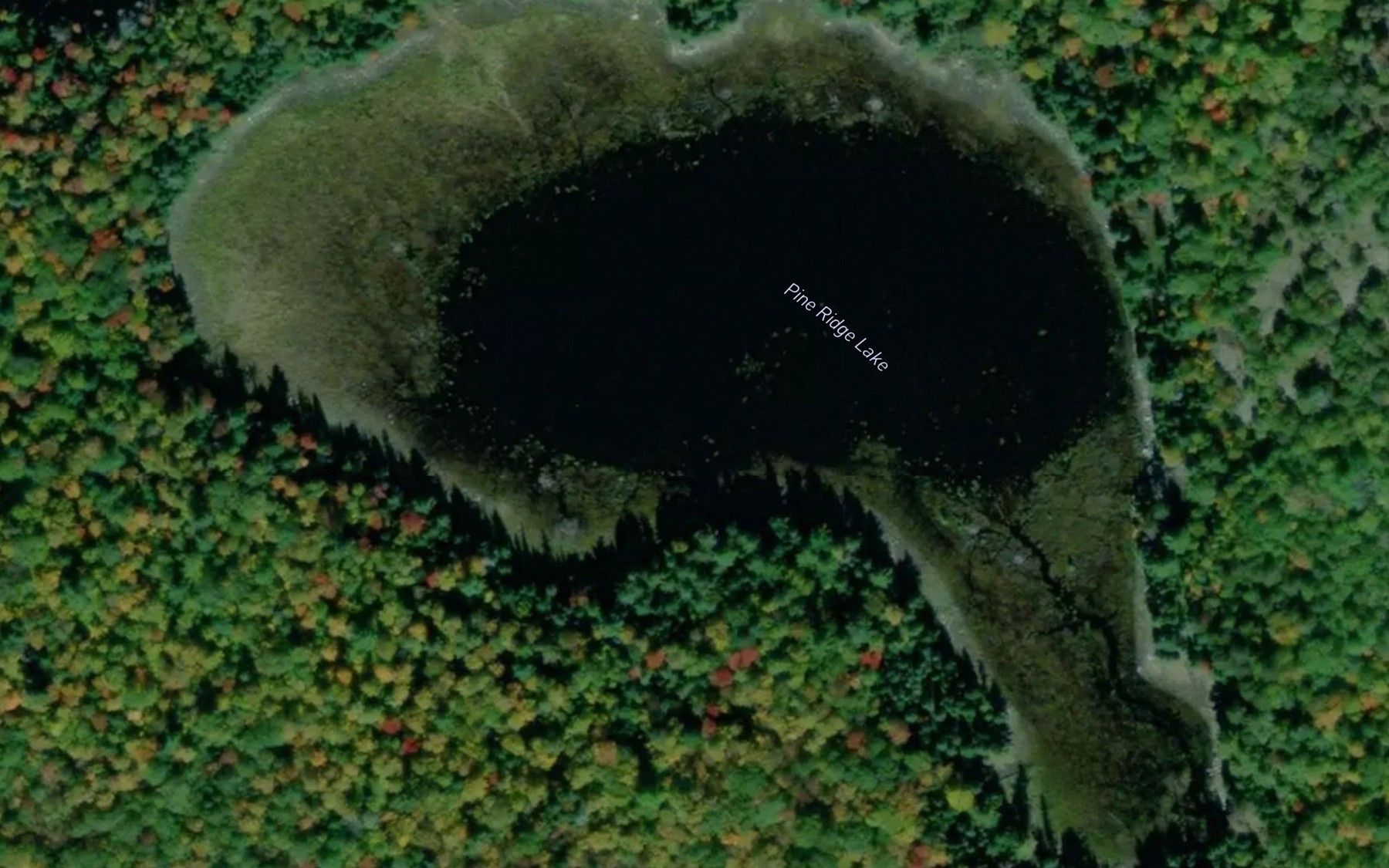 Satellite map of the Pine Ridge Lake