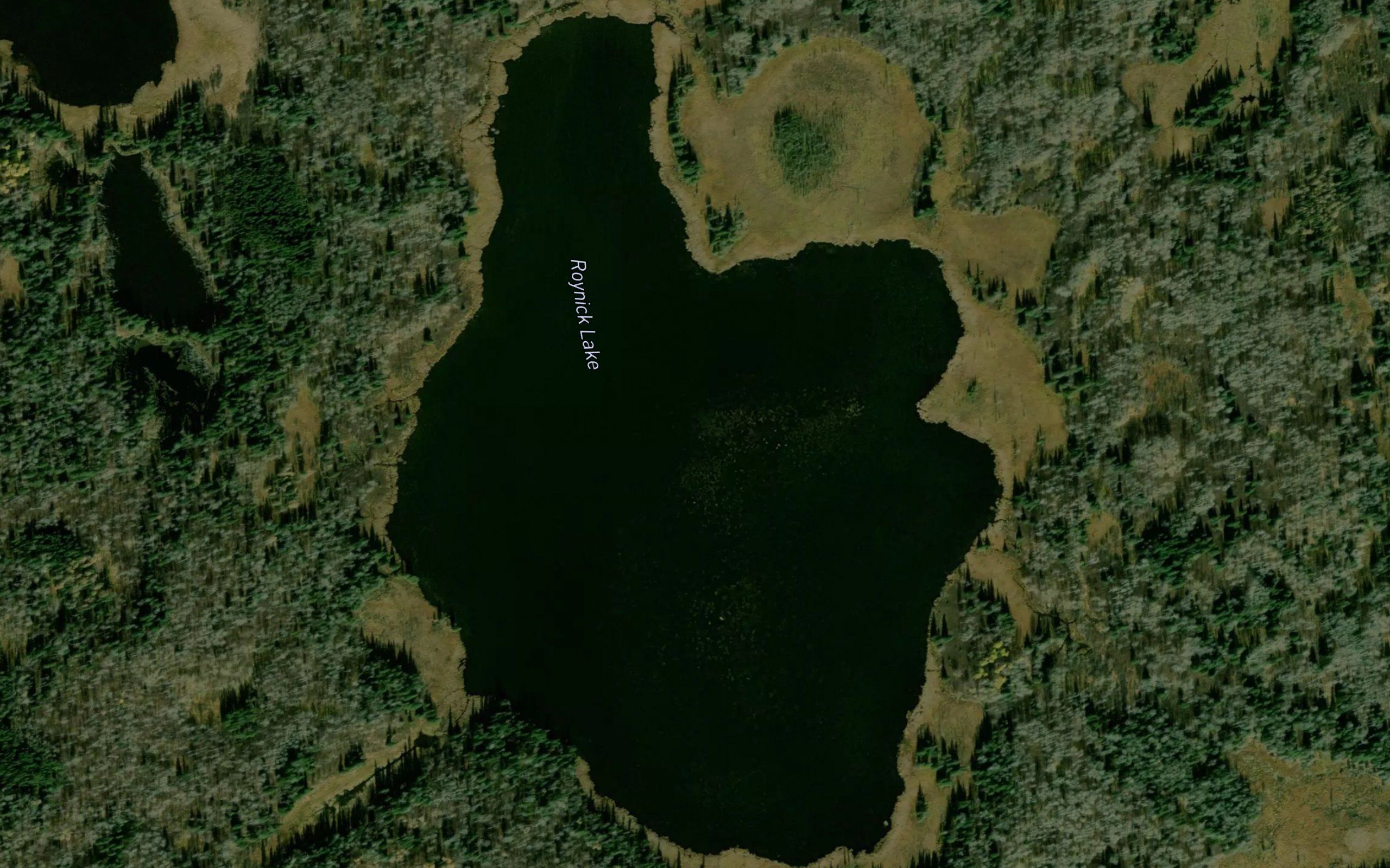 Roynick Lake