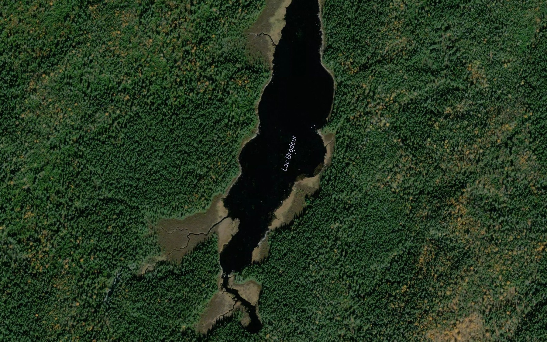 Satellite map of the Lac Brodeur