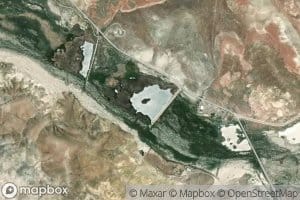 Dufurrena Pond Number Twenty