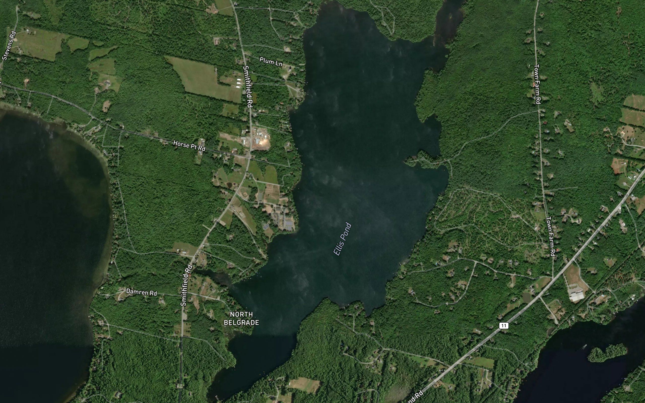 Ellis Pond