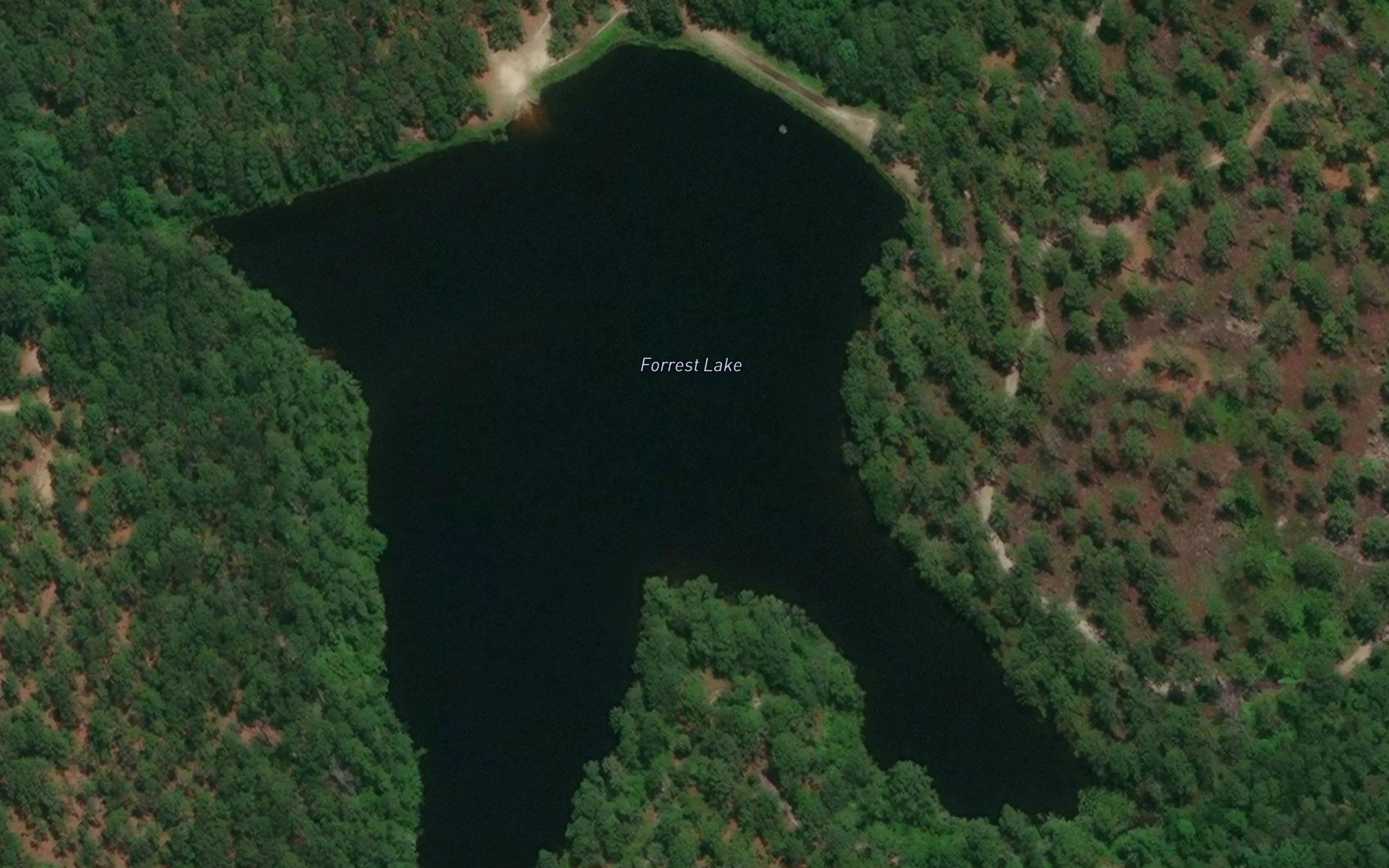 Forrest Lake