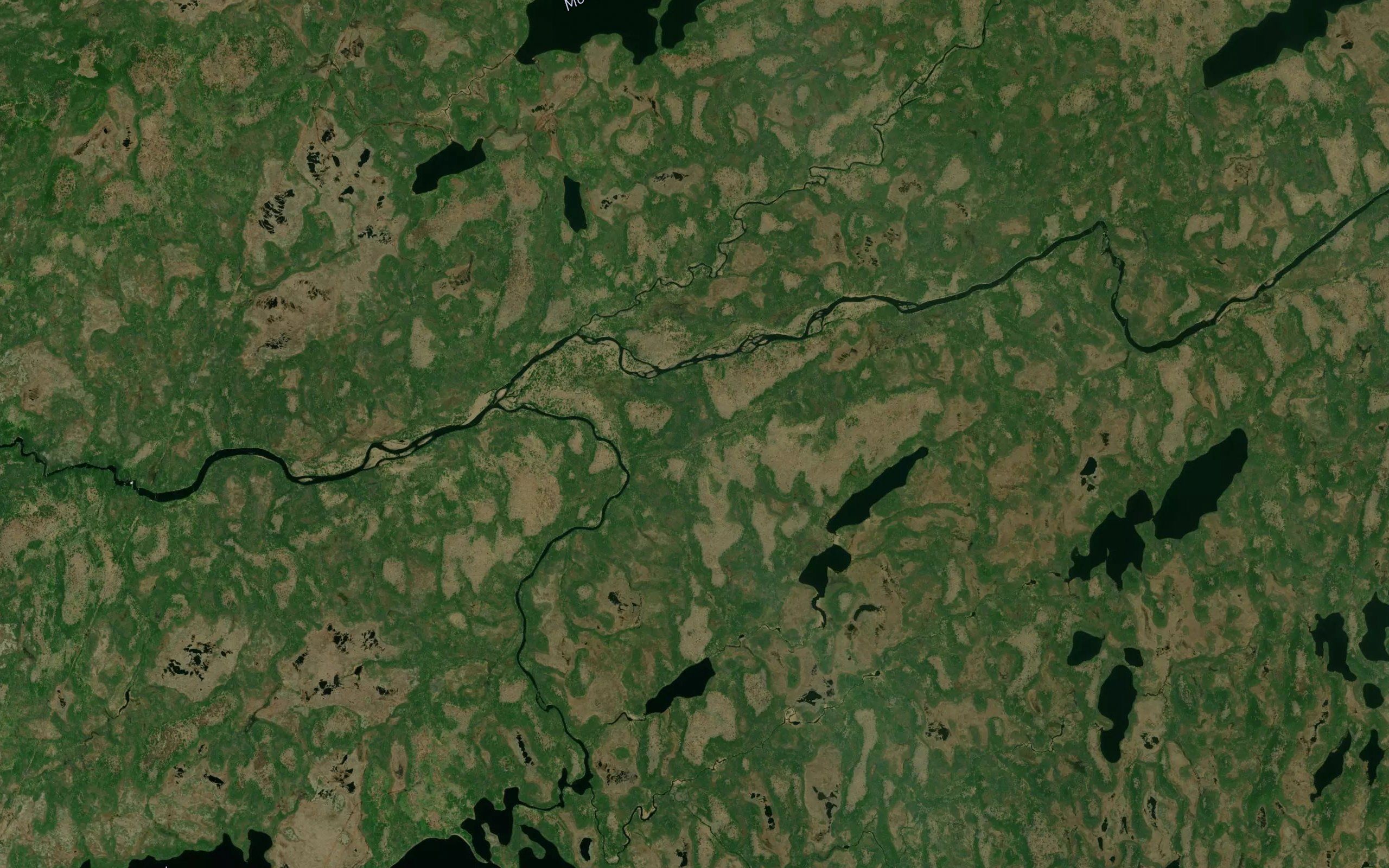 Murphys River