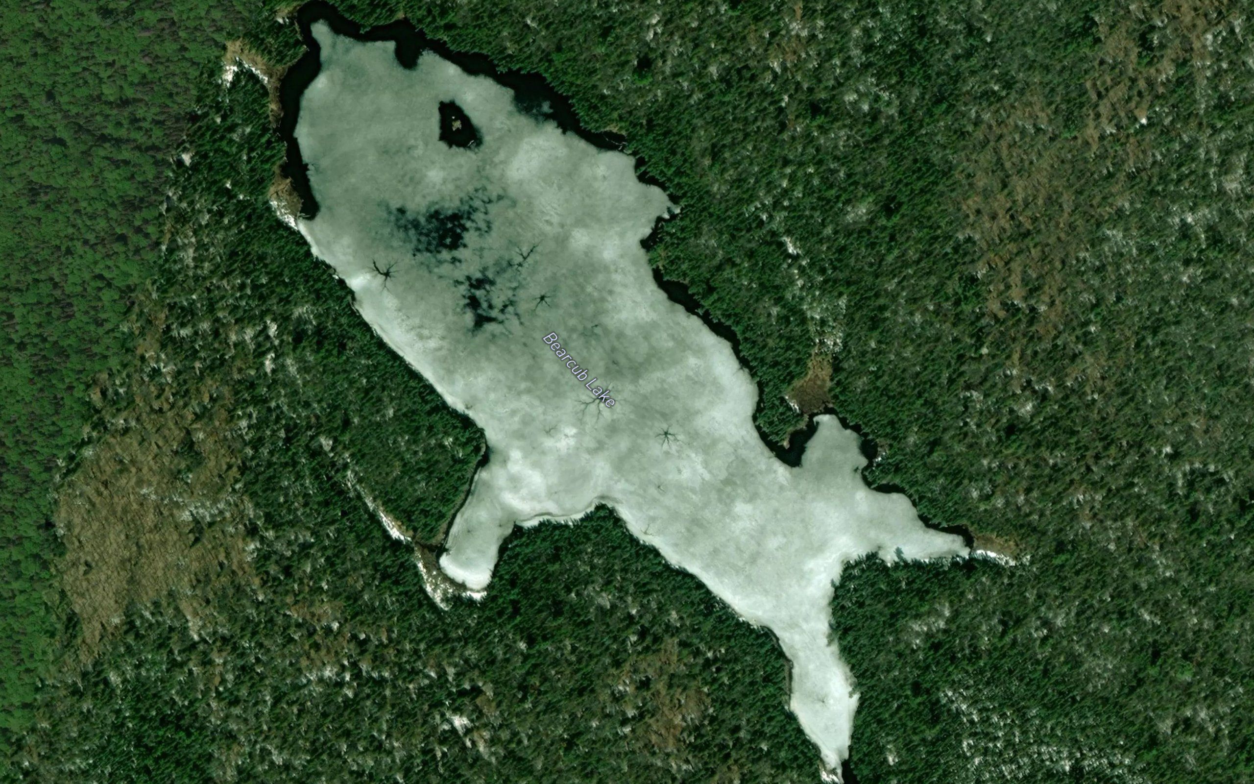 Bearcub Lake