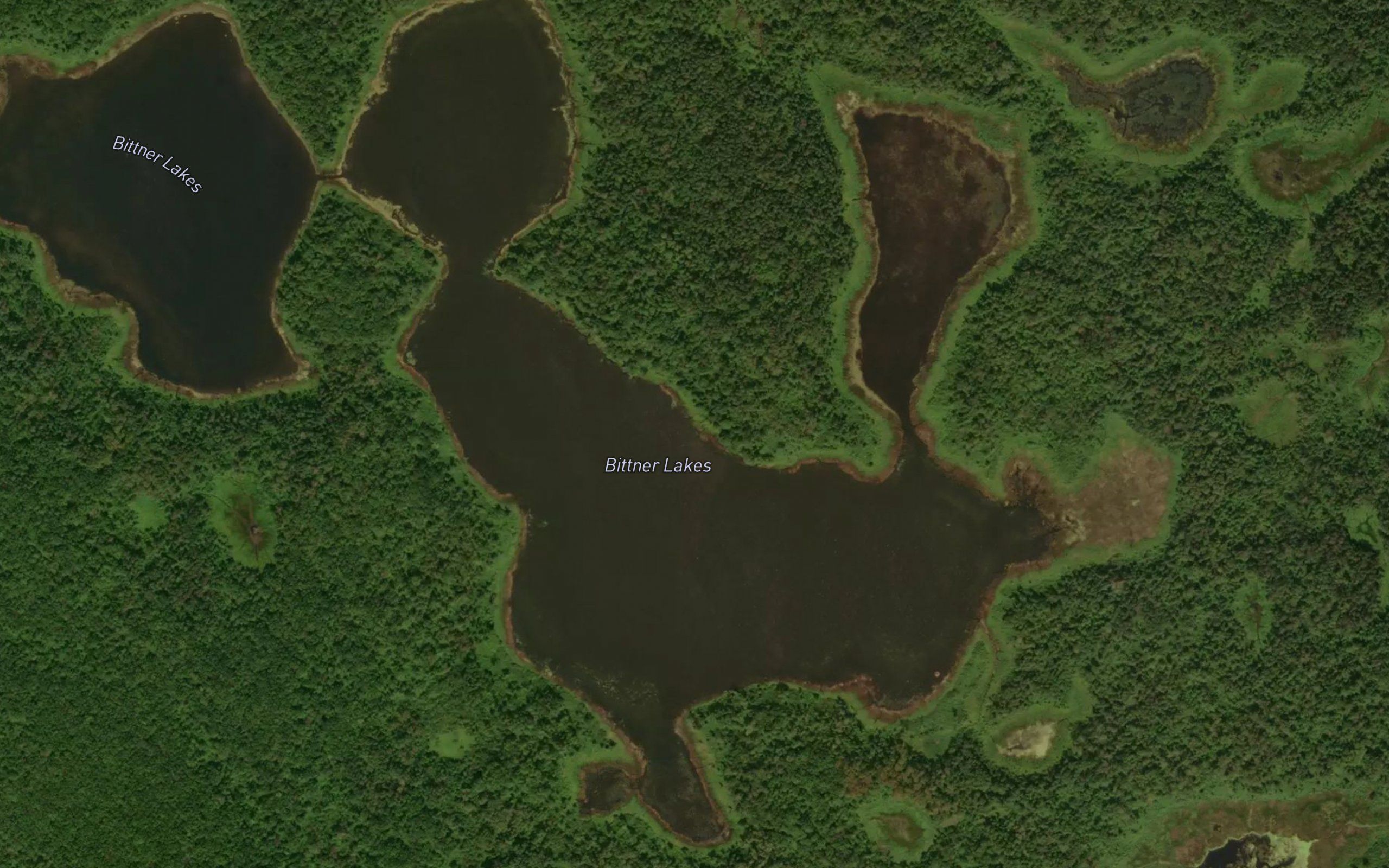 Bittner Lakes