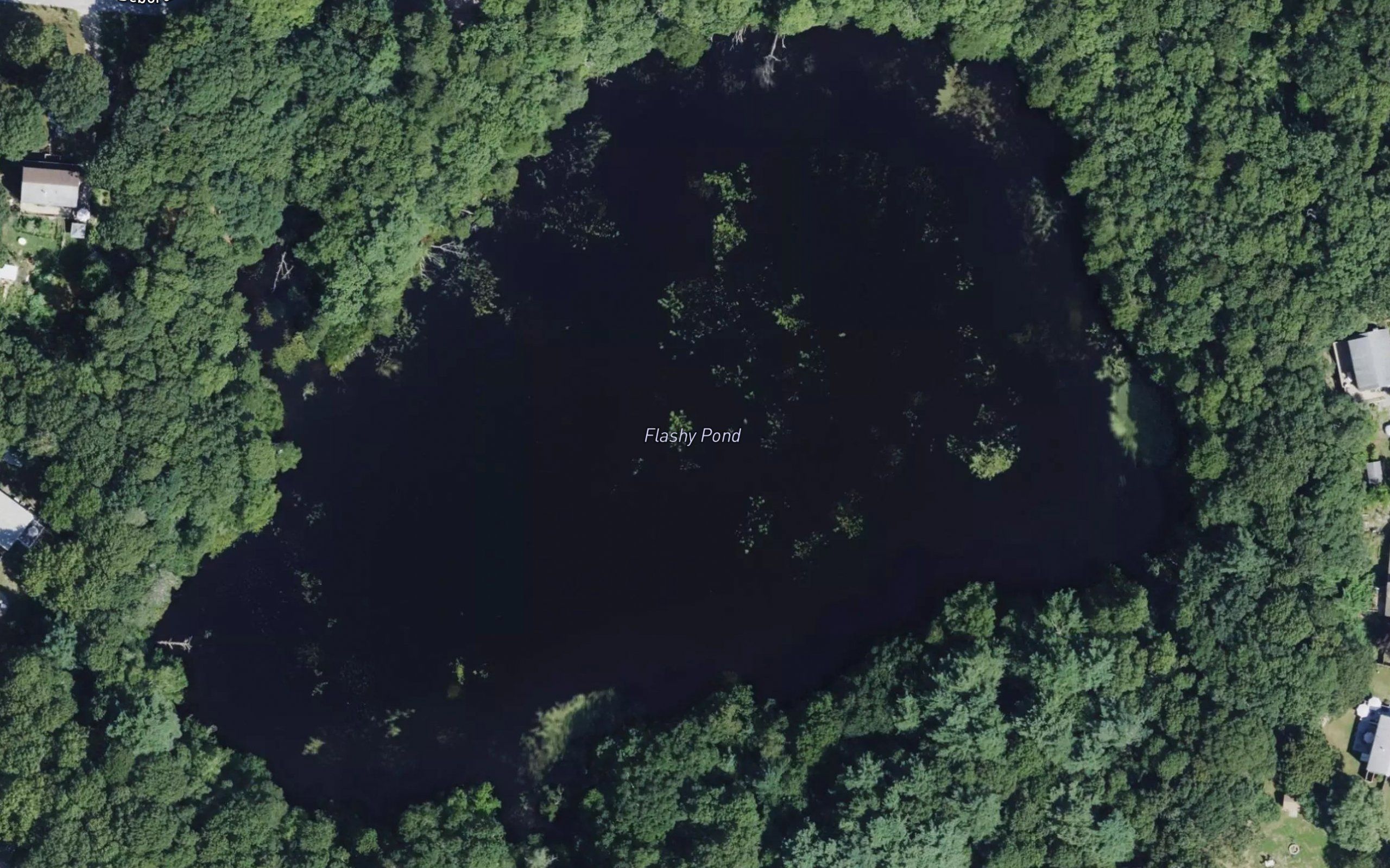 Flashy Pond