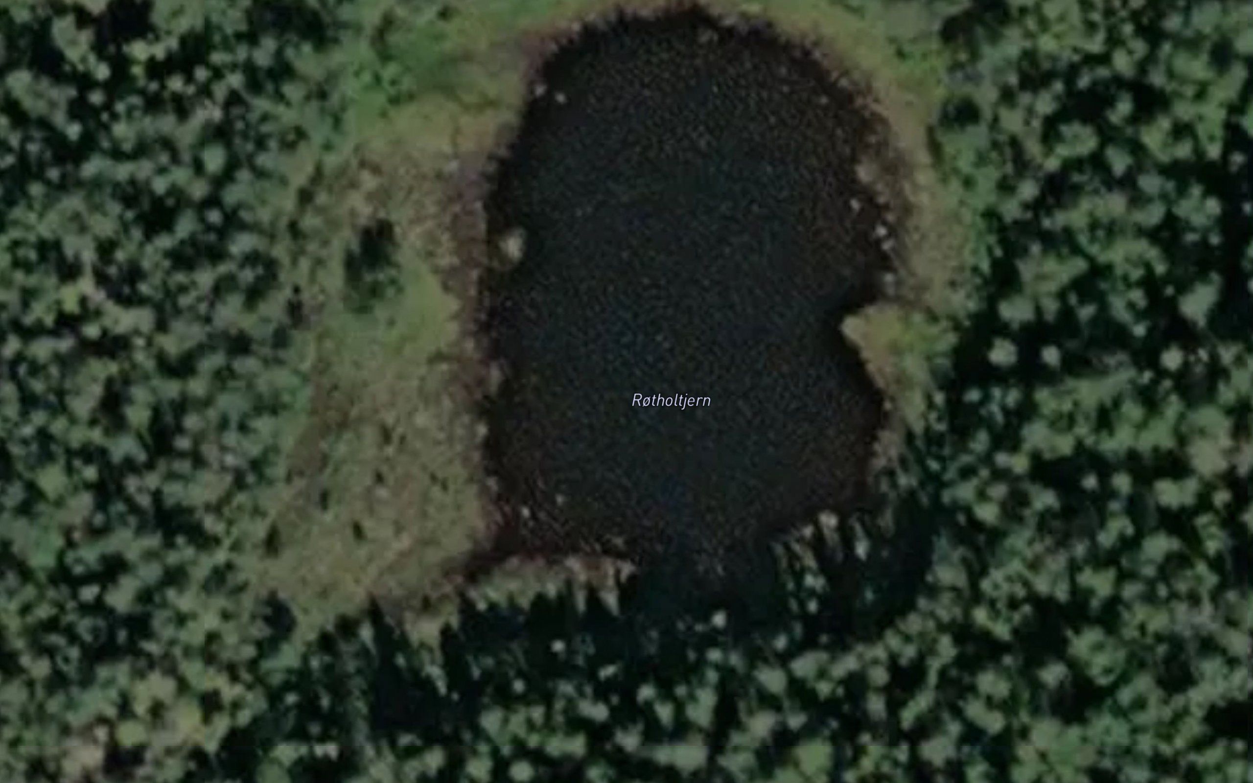 Rotholtjern