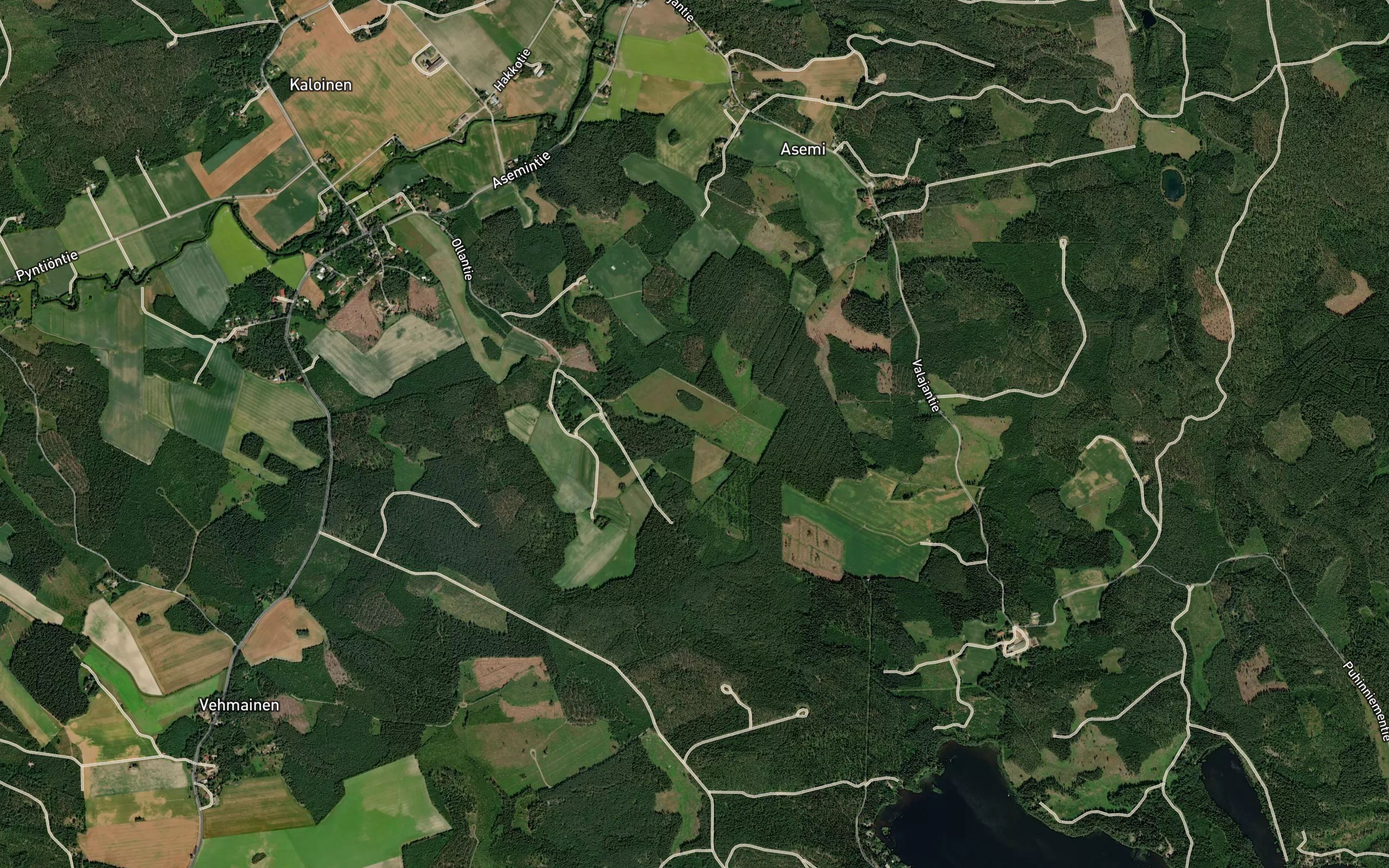 Pahaoja