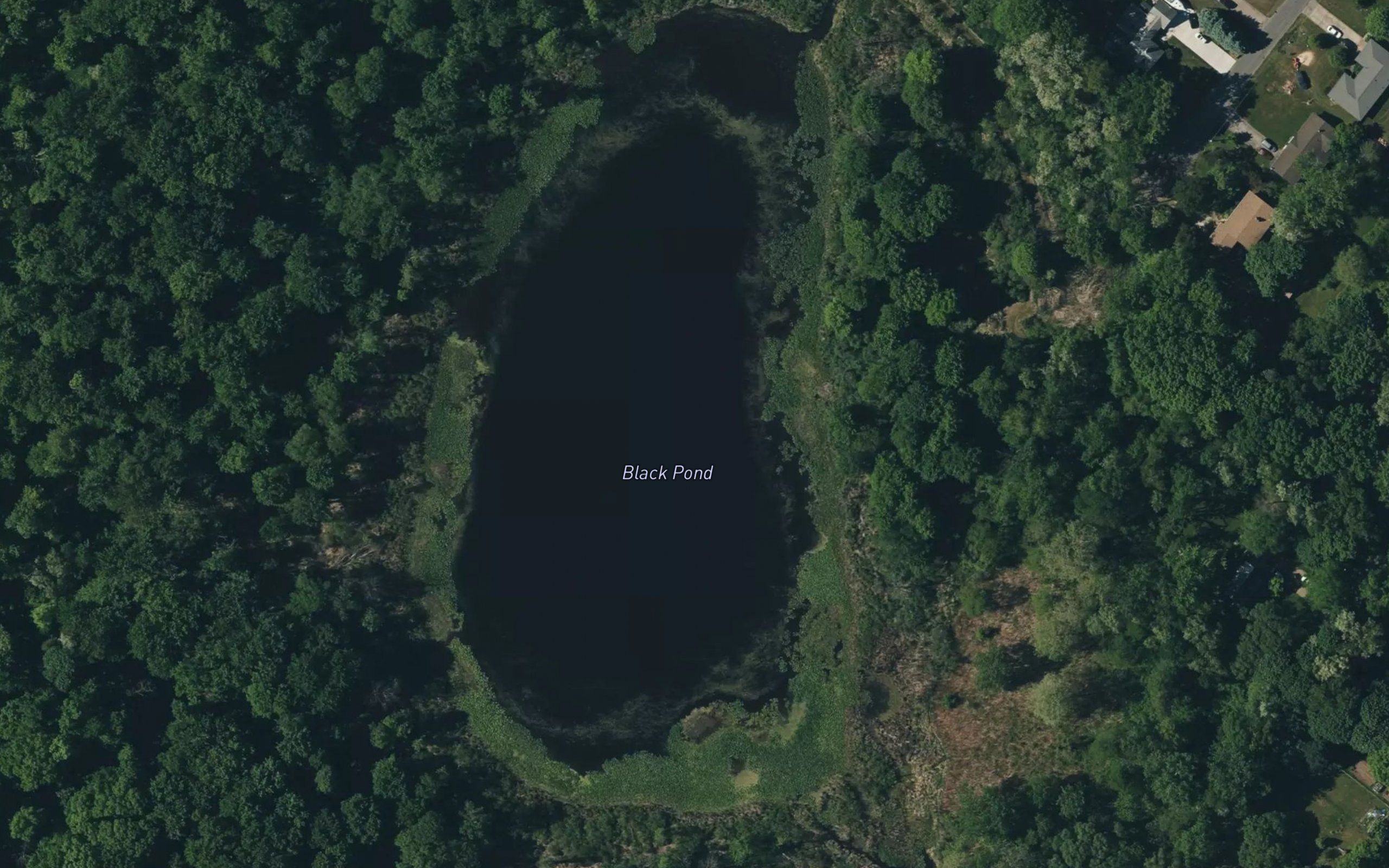 Black Pond