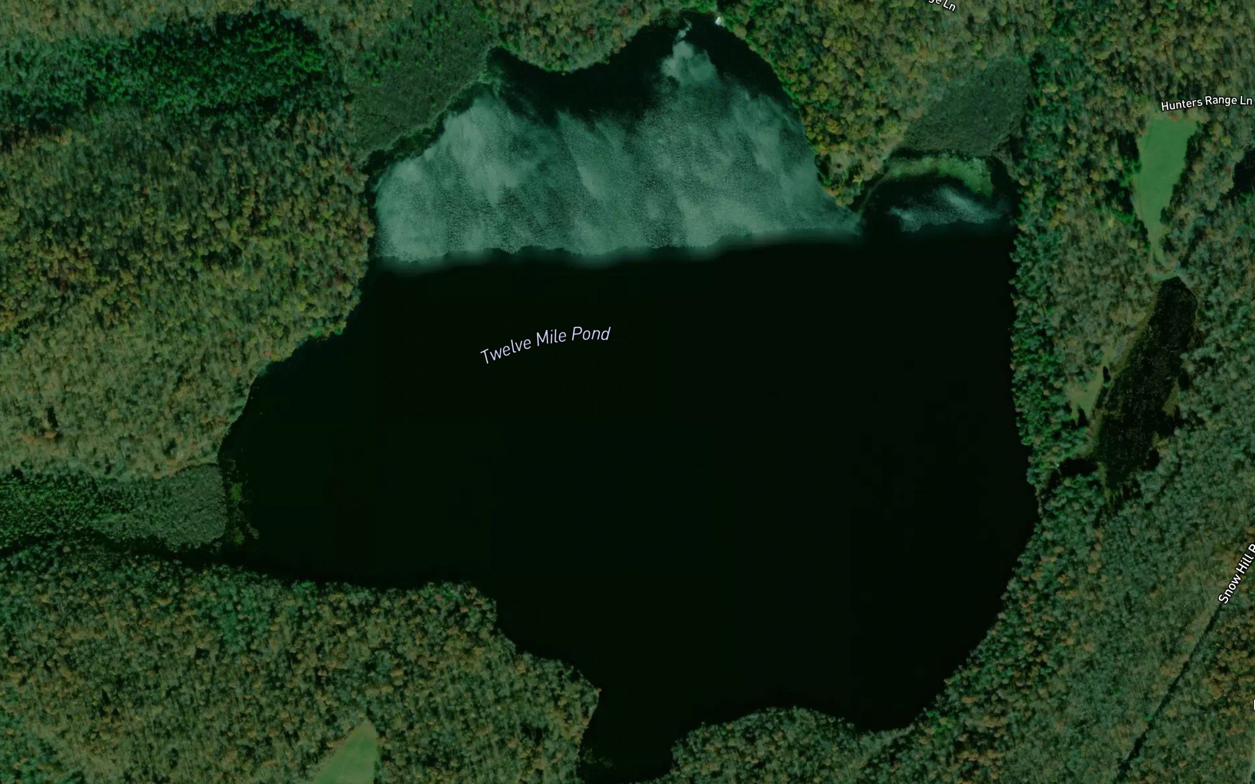 Twelvemile Pond