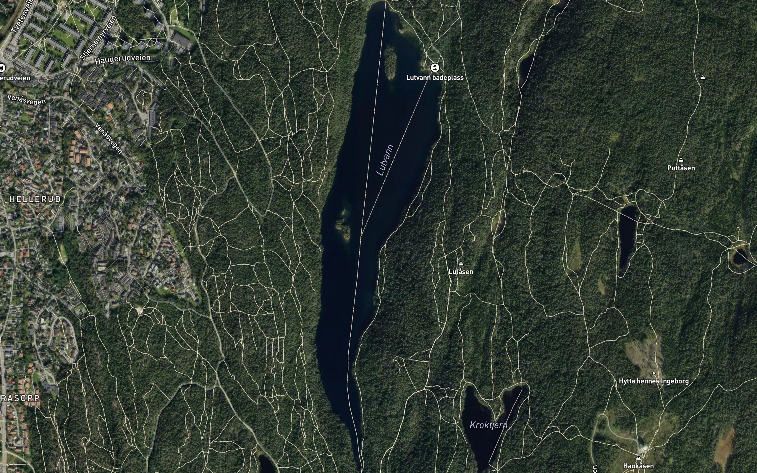Lutvannet