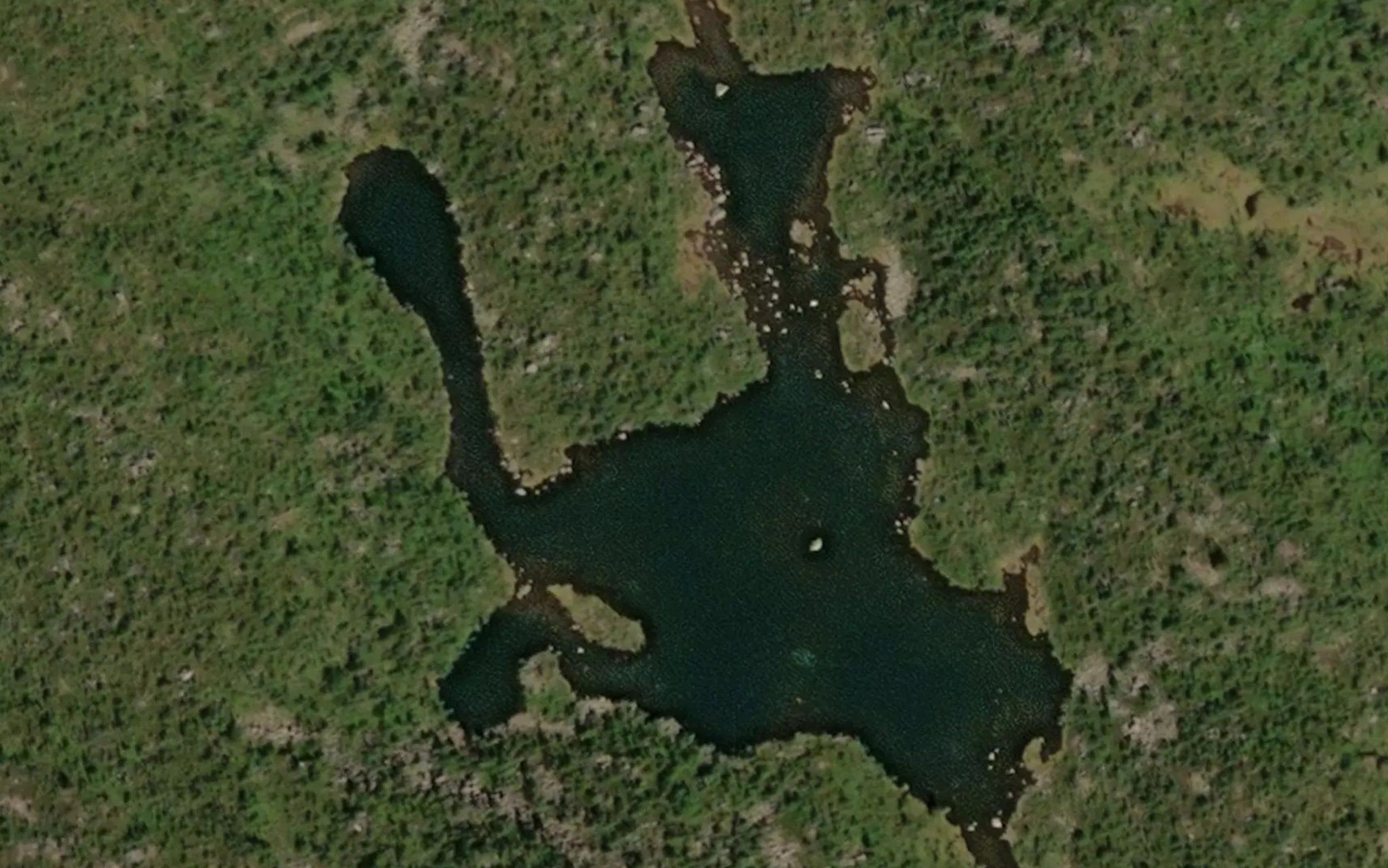 Skarsstoyltjonni