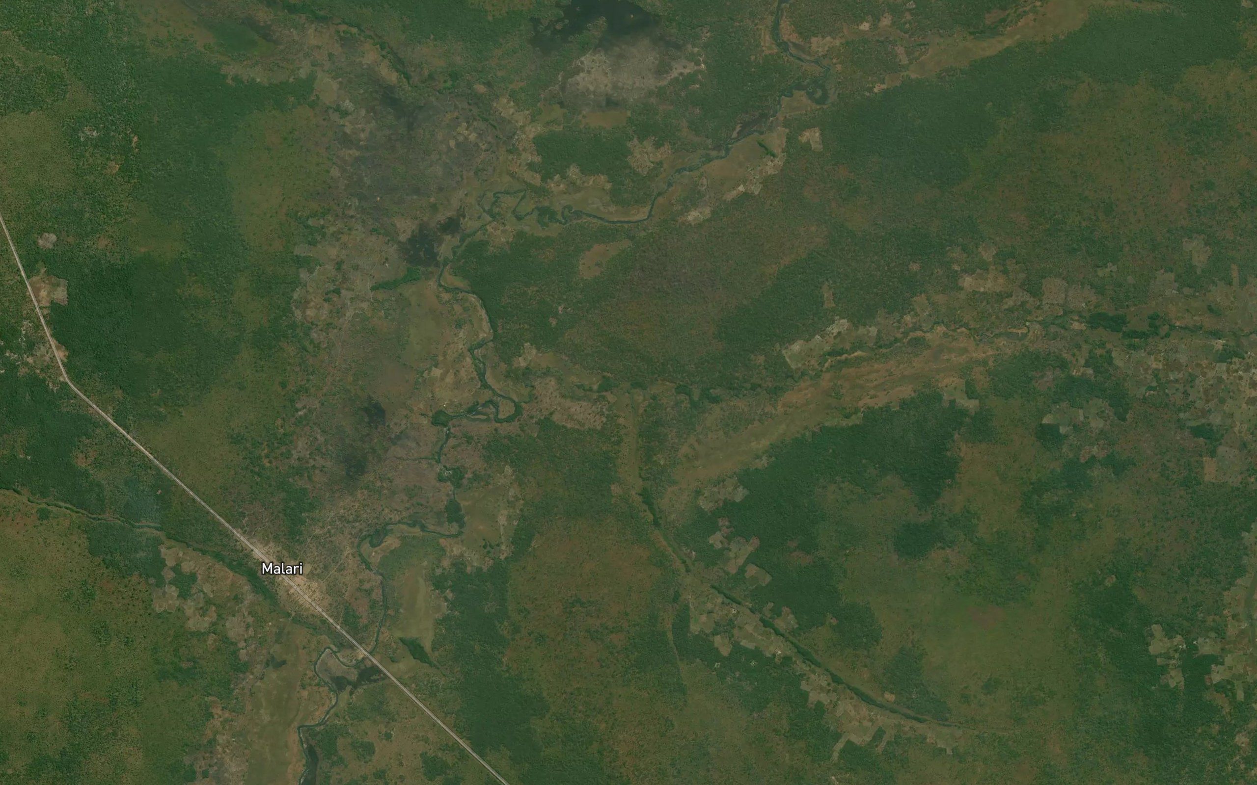 Cagiu
