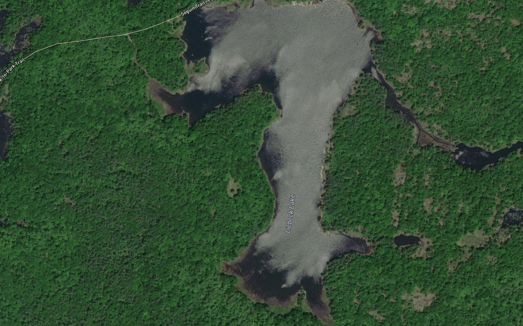 Satellite map of the Liebeck Lake