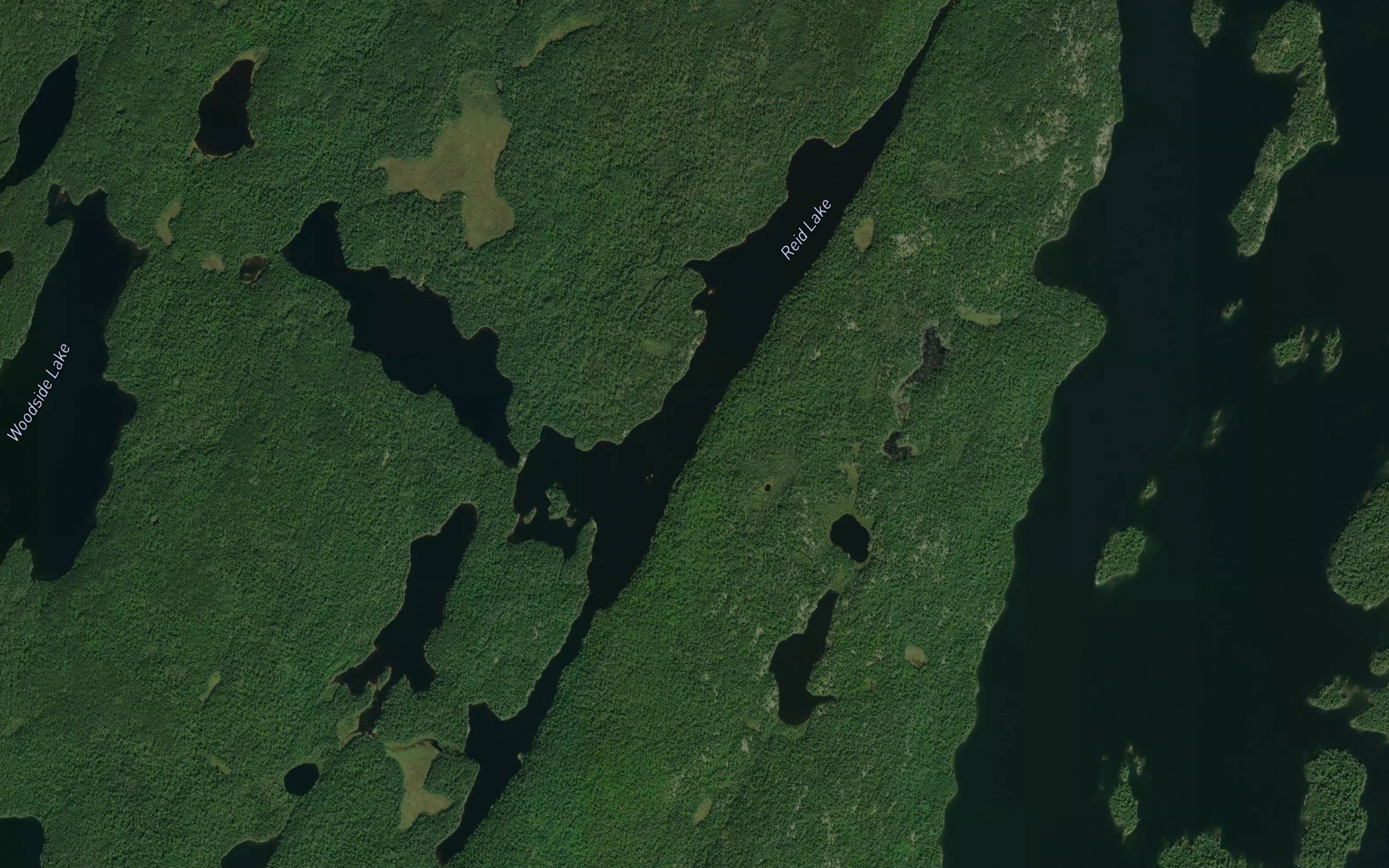 Reid Lake
