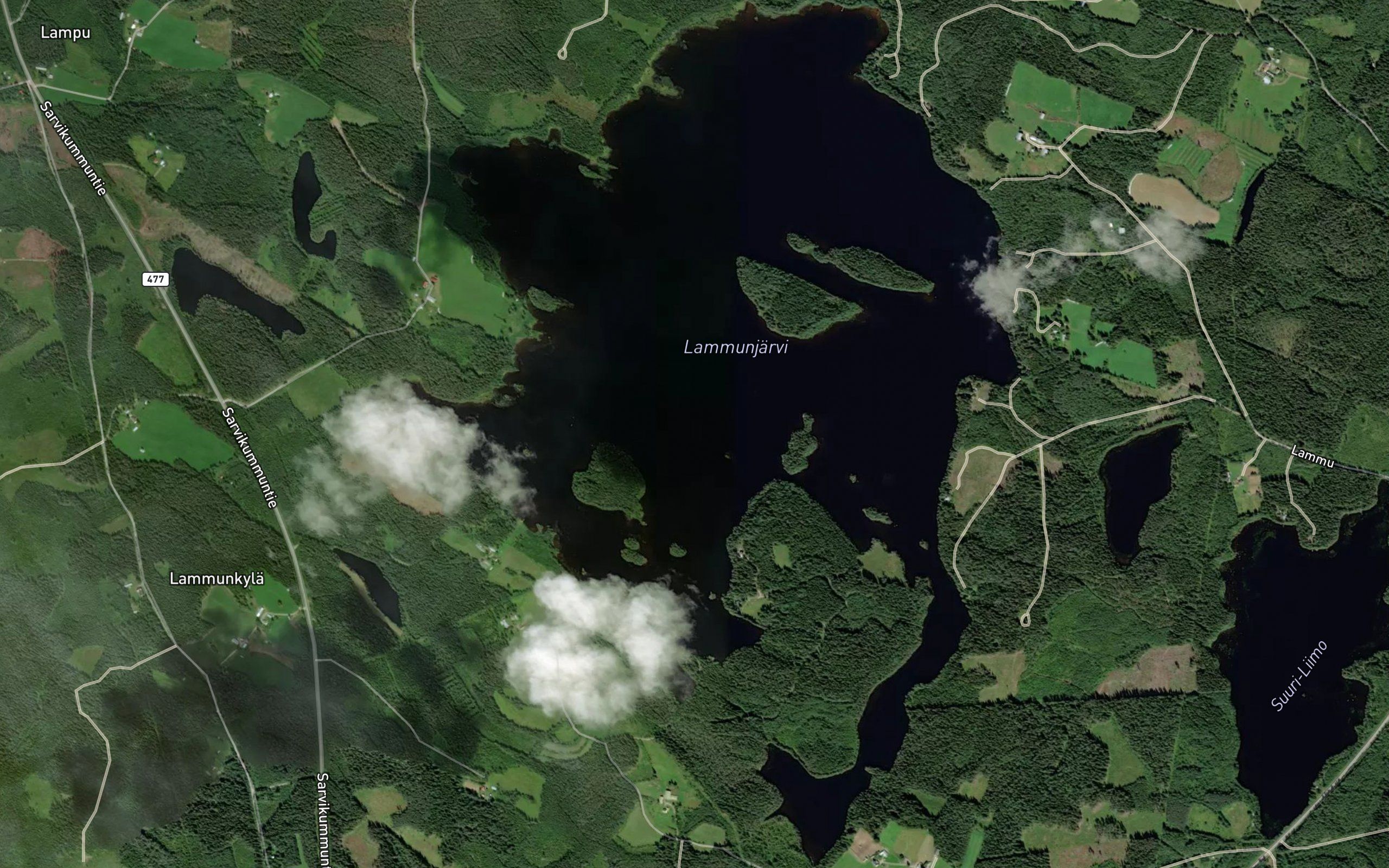 Juurikkalahti