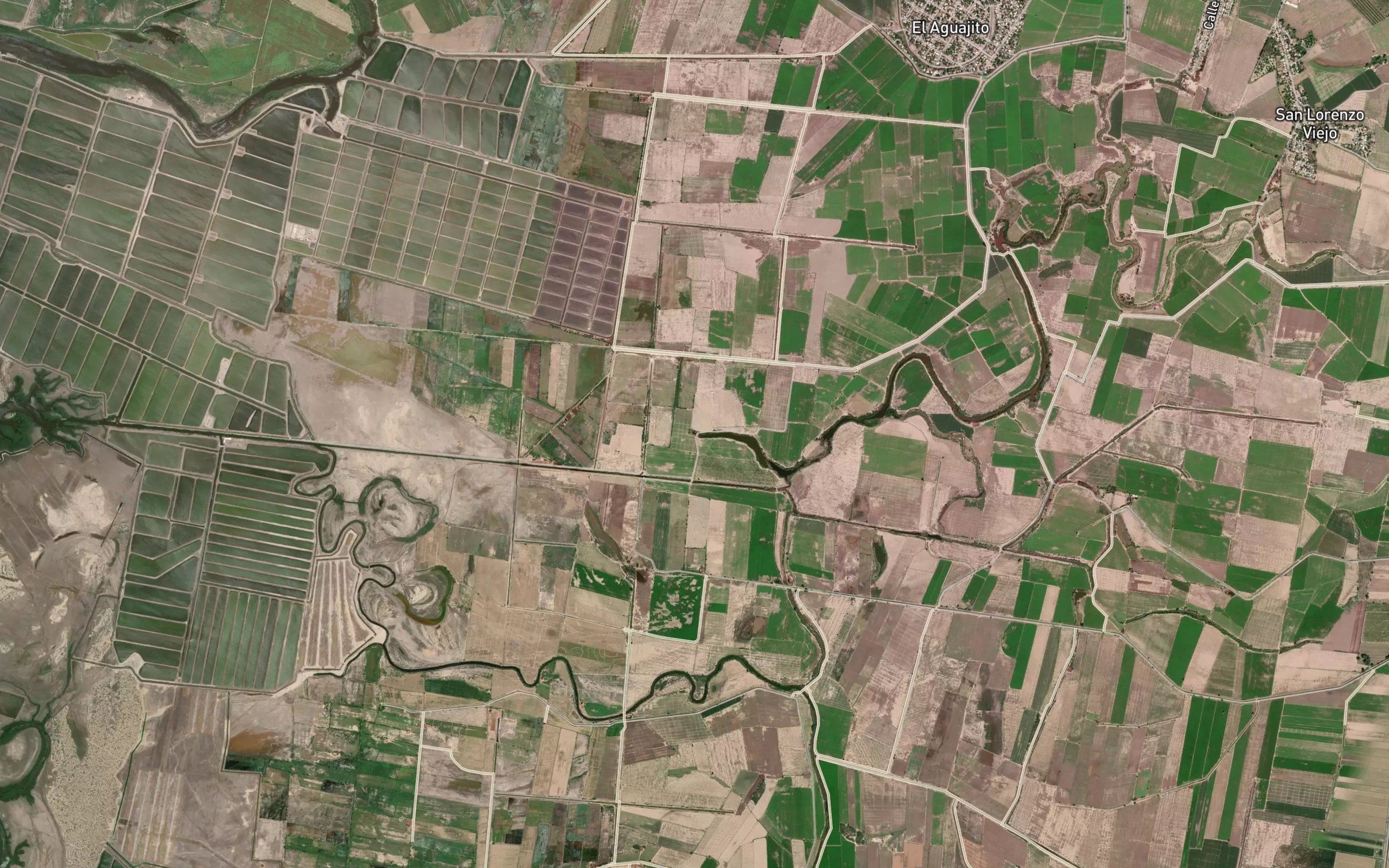 Estero la Vibora