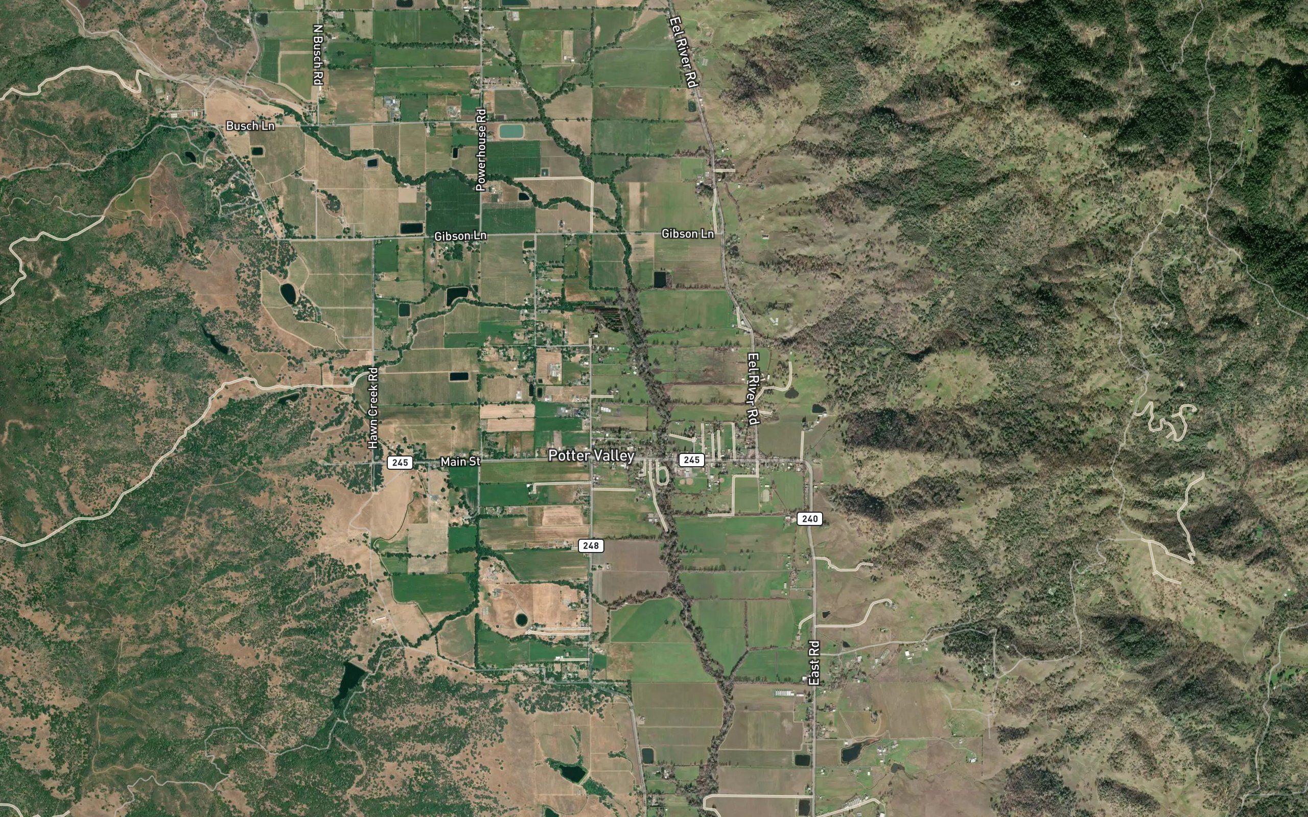 Williams Creek
