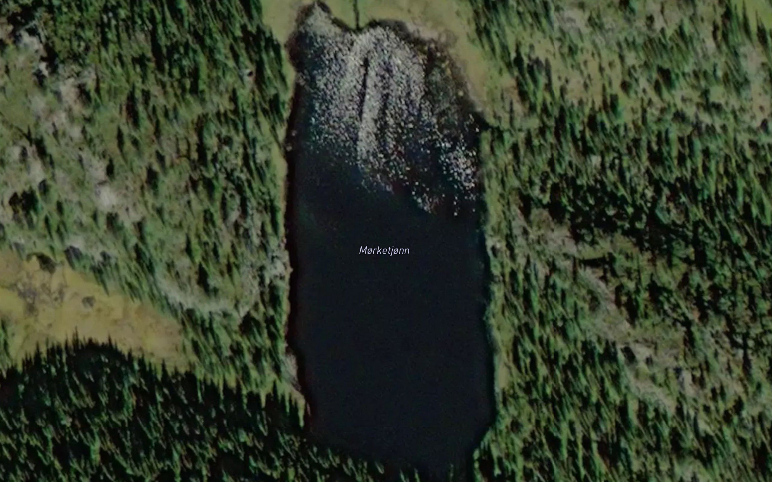 Morketjorn