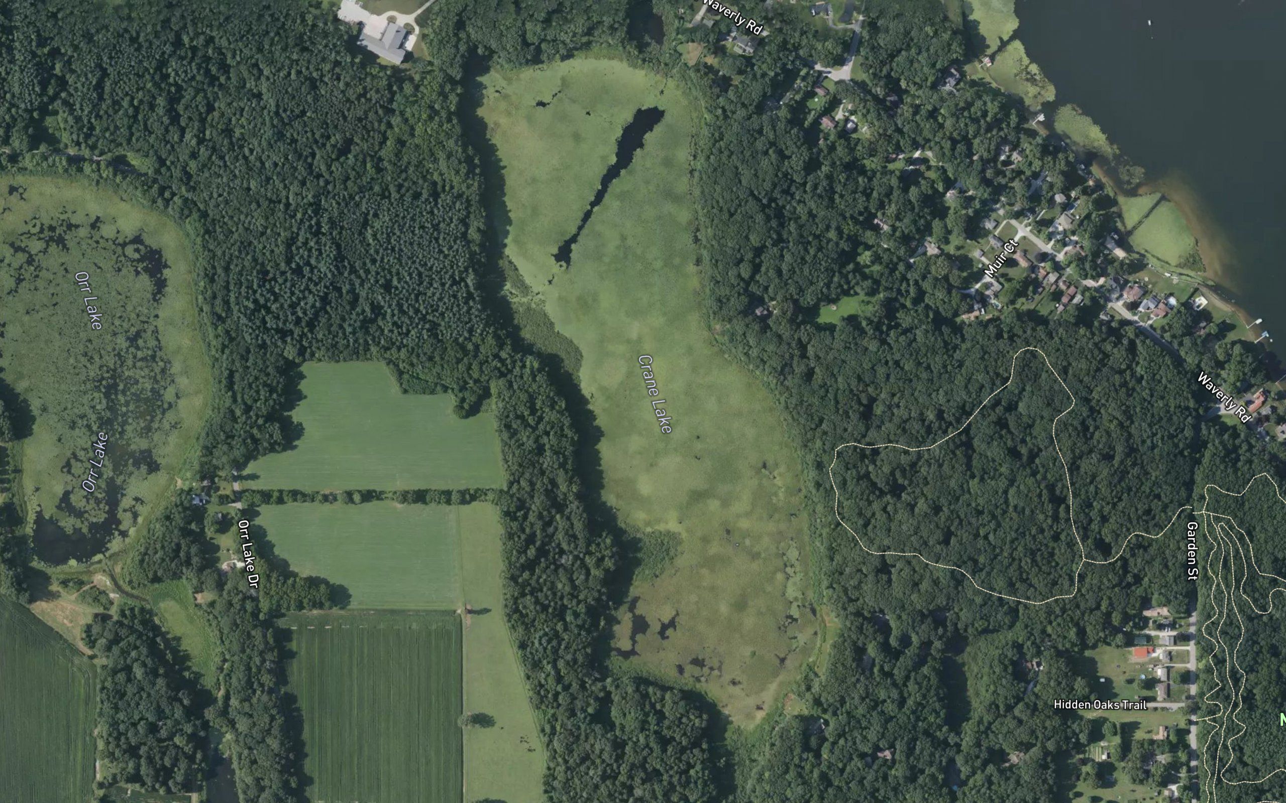 Crane Lake