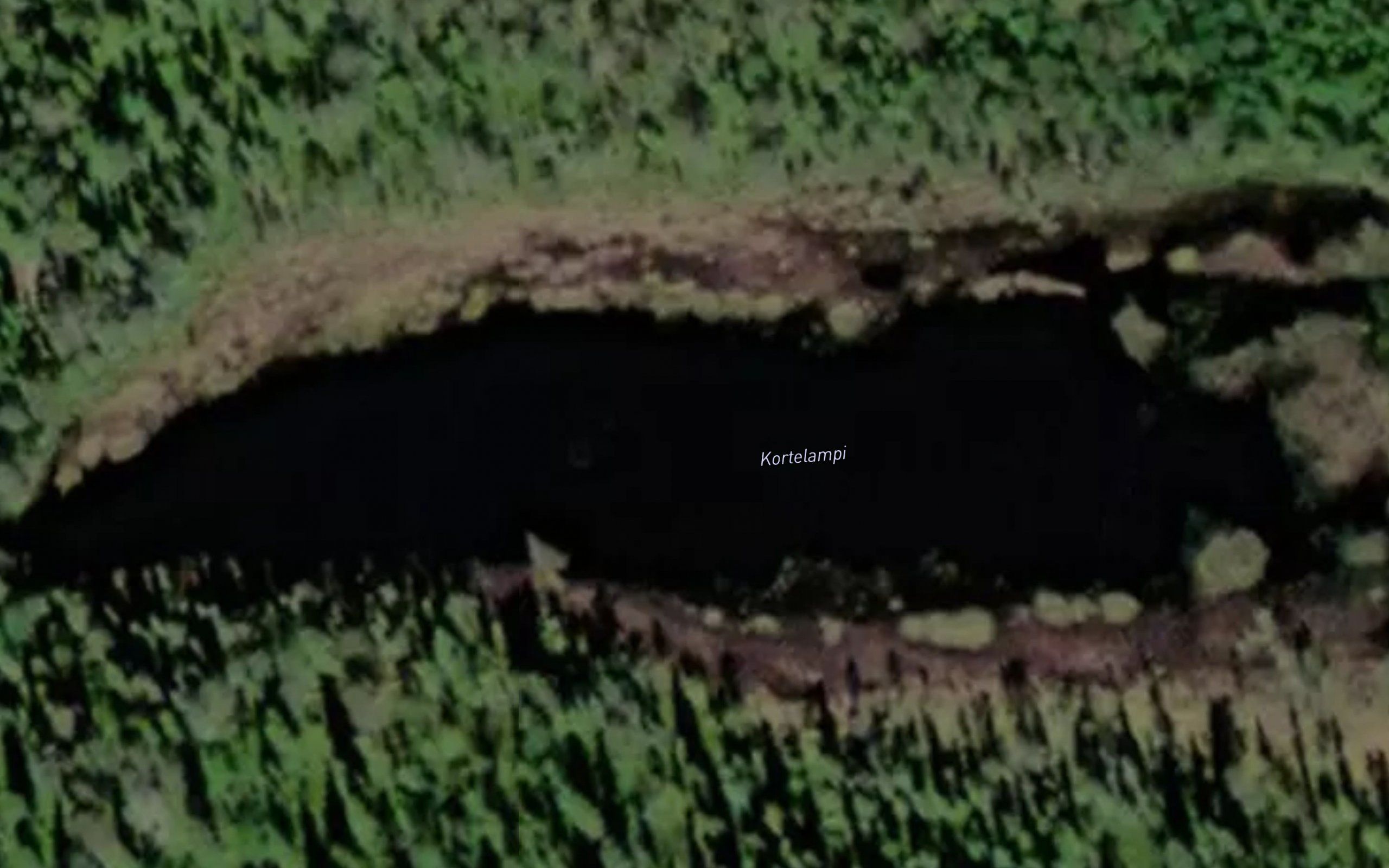 Kortelampi