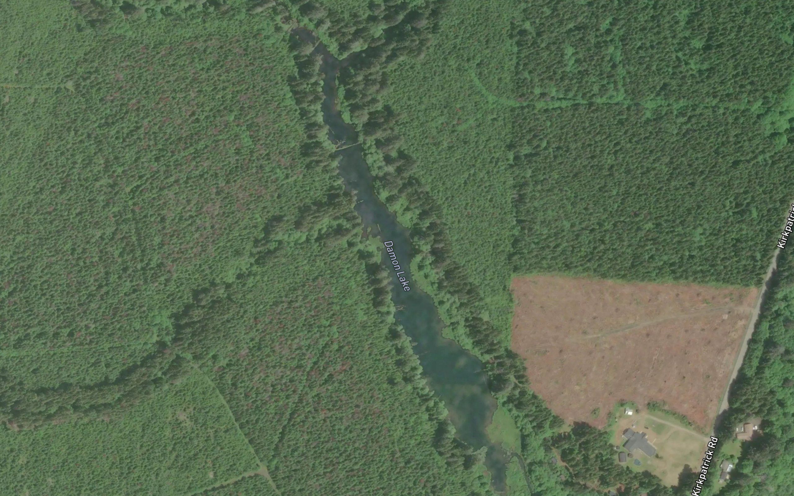 Damon Lake