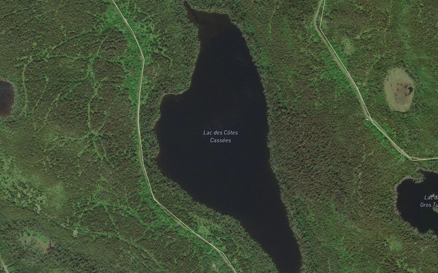 Satellite map of the Lac des Cotes Cassees