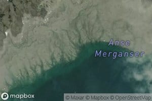 Merganser Cove