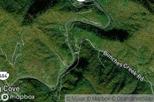 Bunches Creek