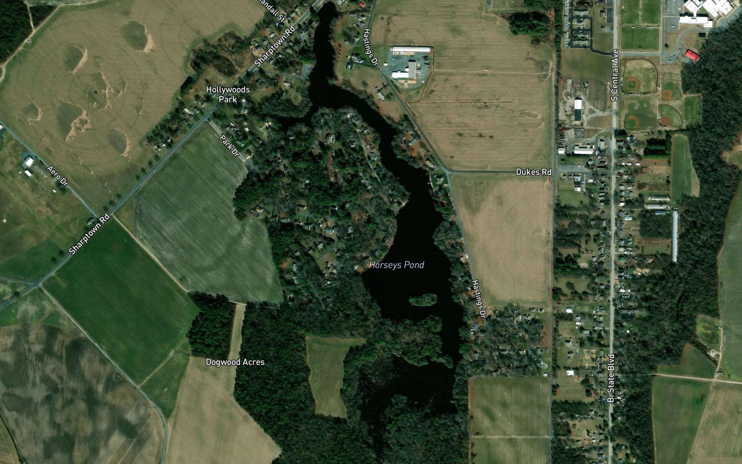 Horseys Pond