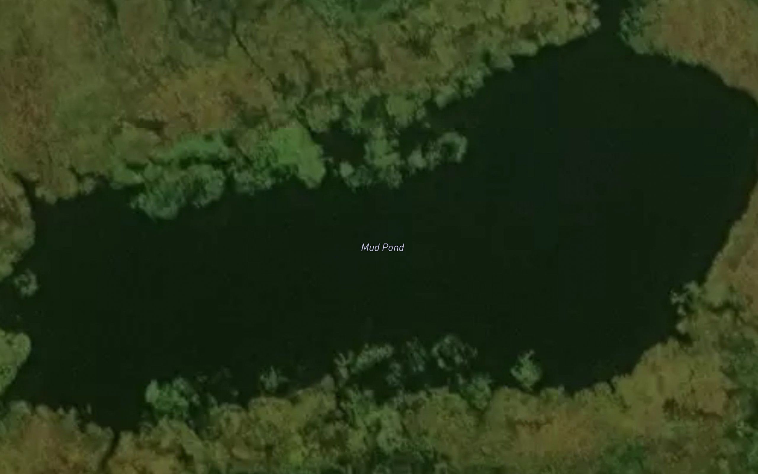 Mud Pond