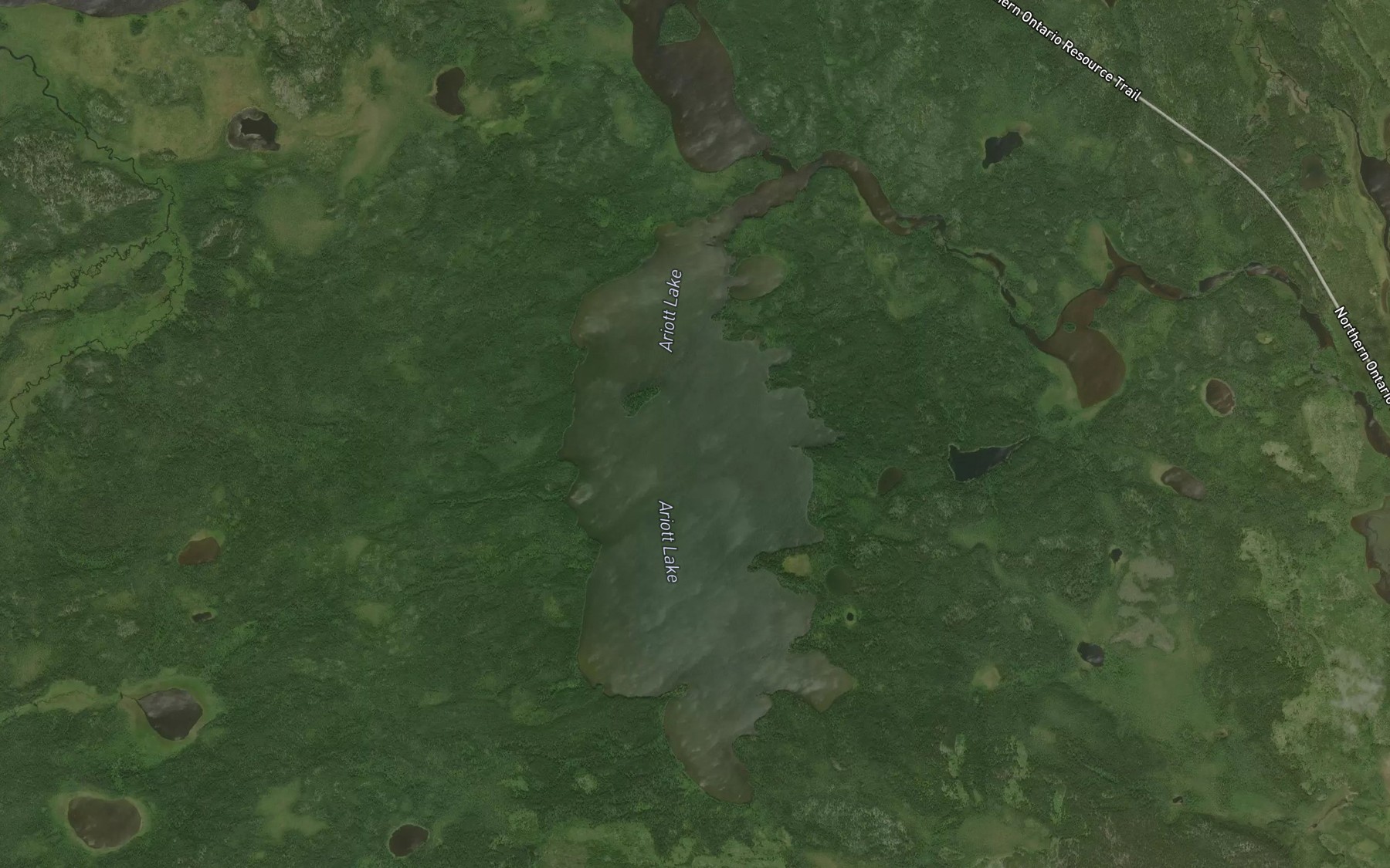 Satellite map of the Ariott Lake