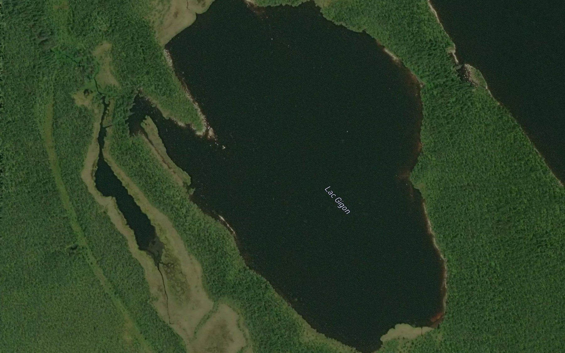 Satellite map of the Lac Gigon