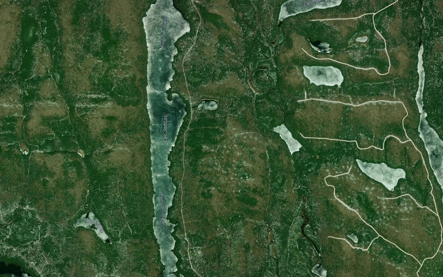 Satellite map of the Lac Herbon