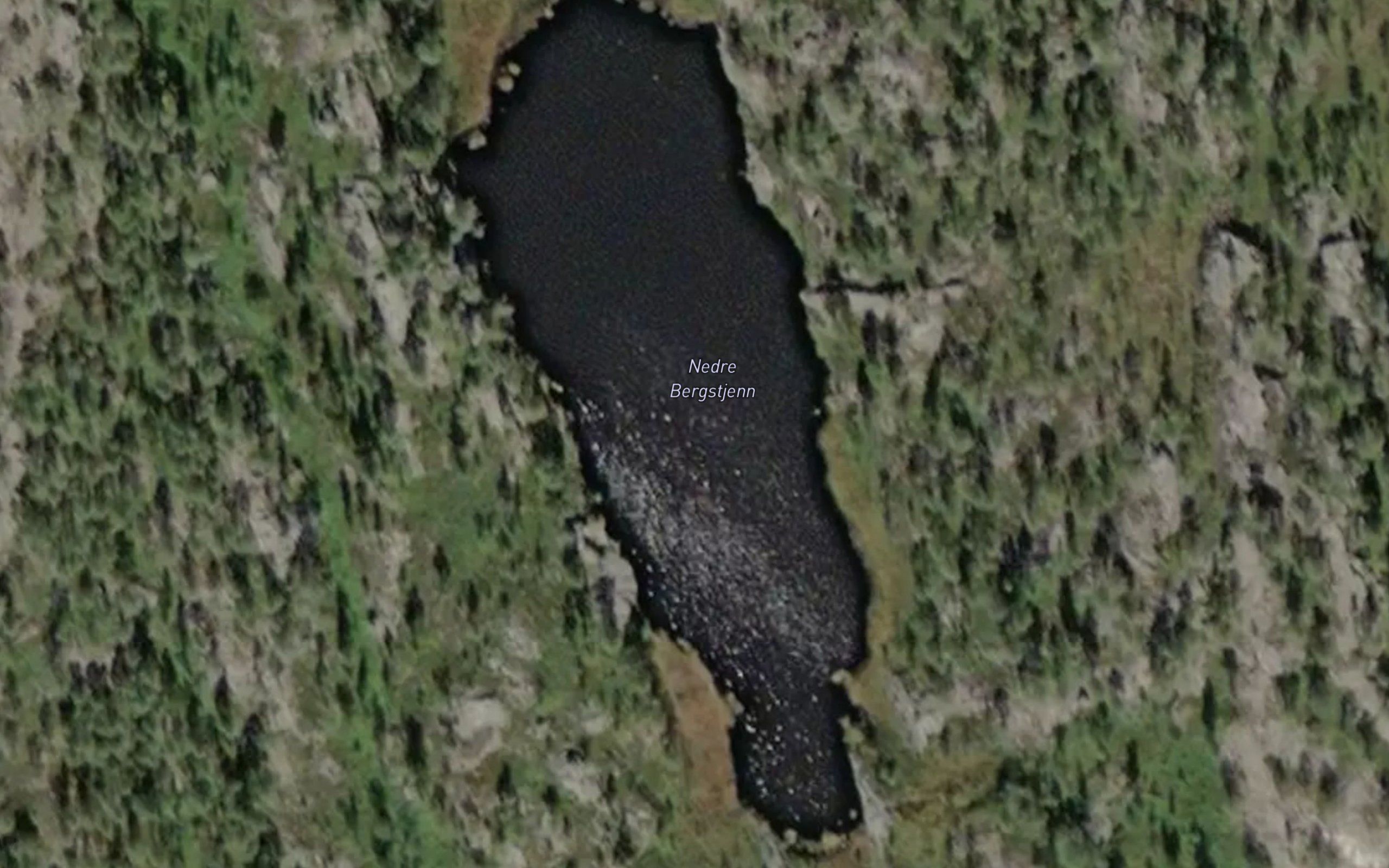 Bergstjorna