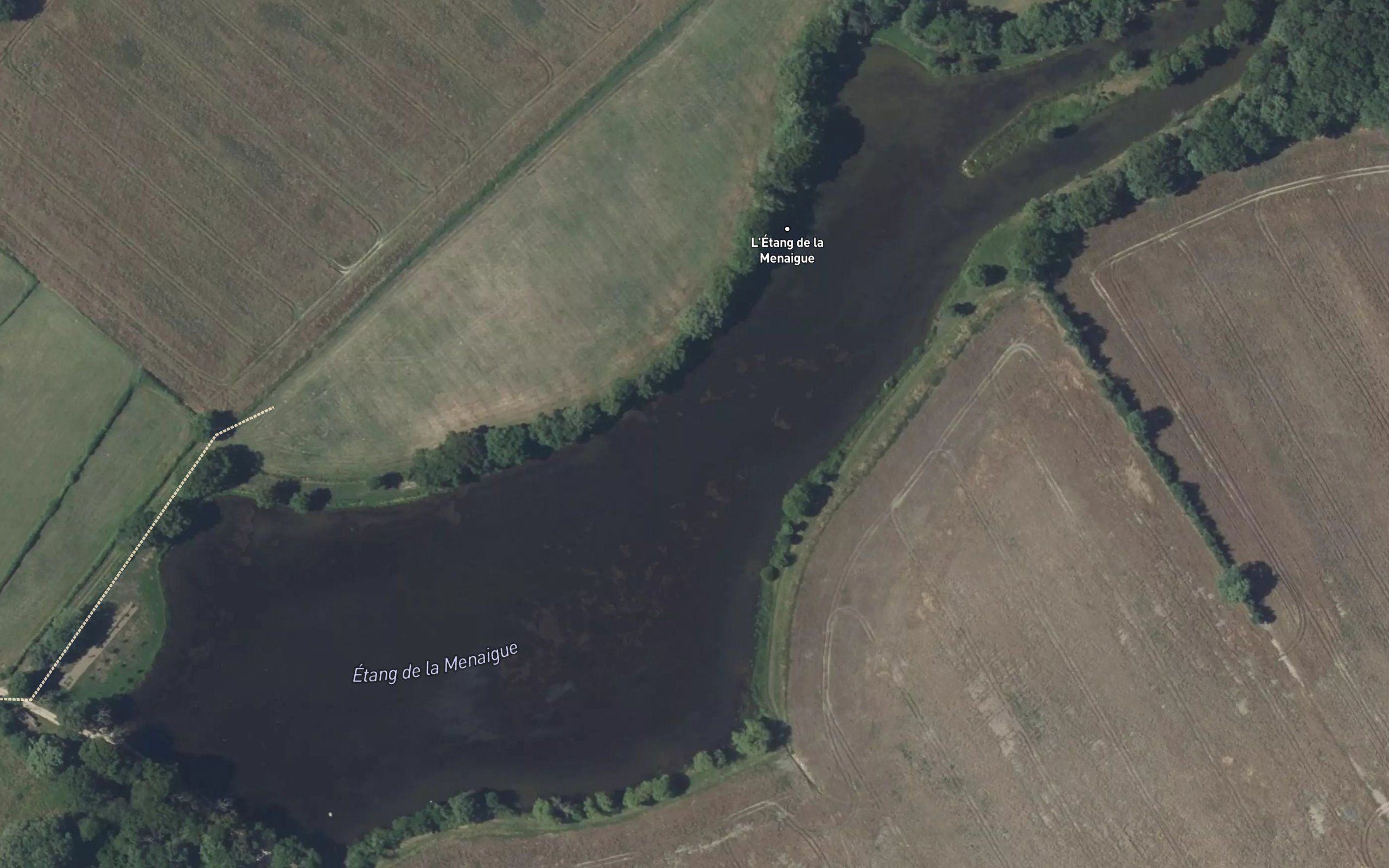 Etang de la Menaigue